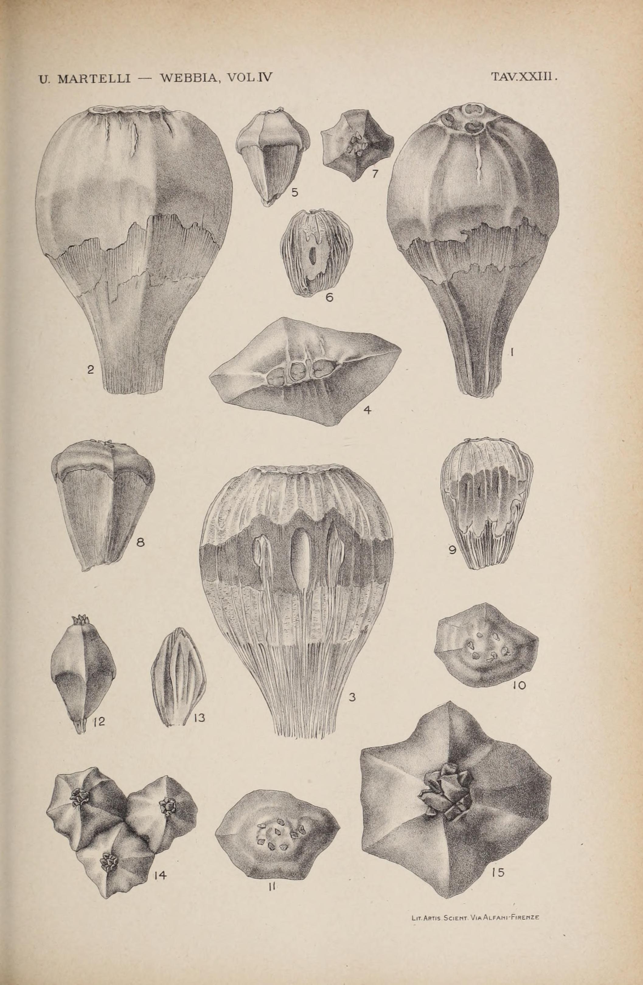 no full size  illustration available (3a)