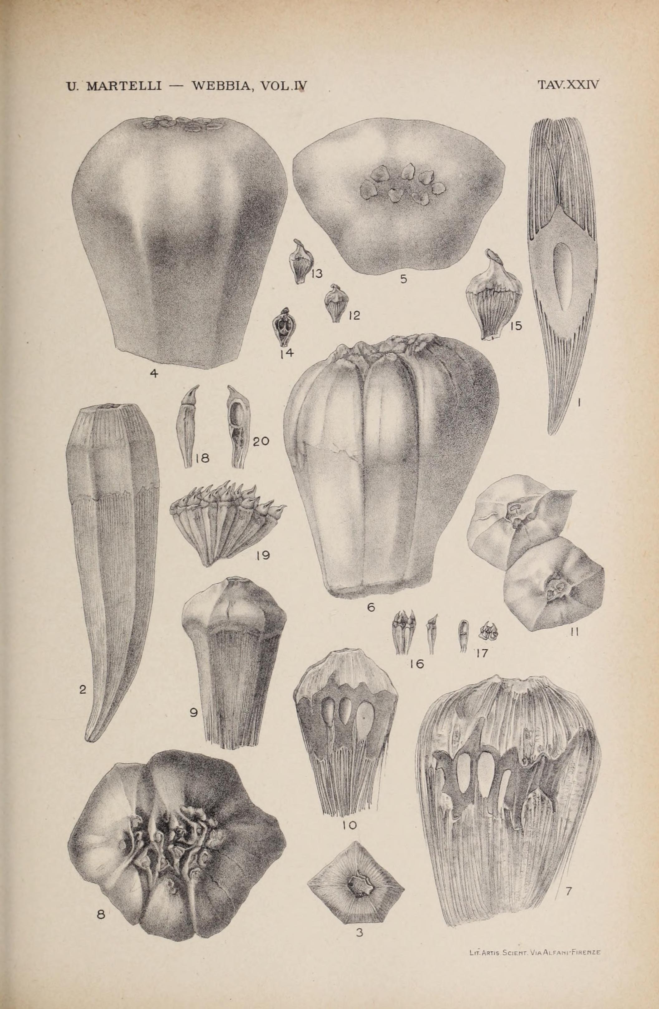 no full size  illustration available (3a)