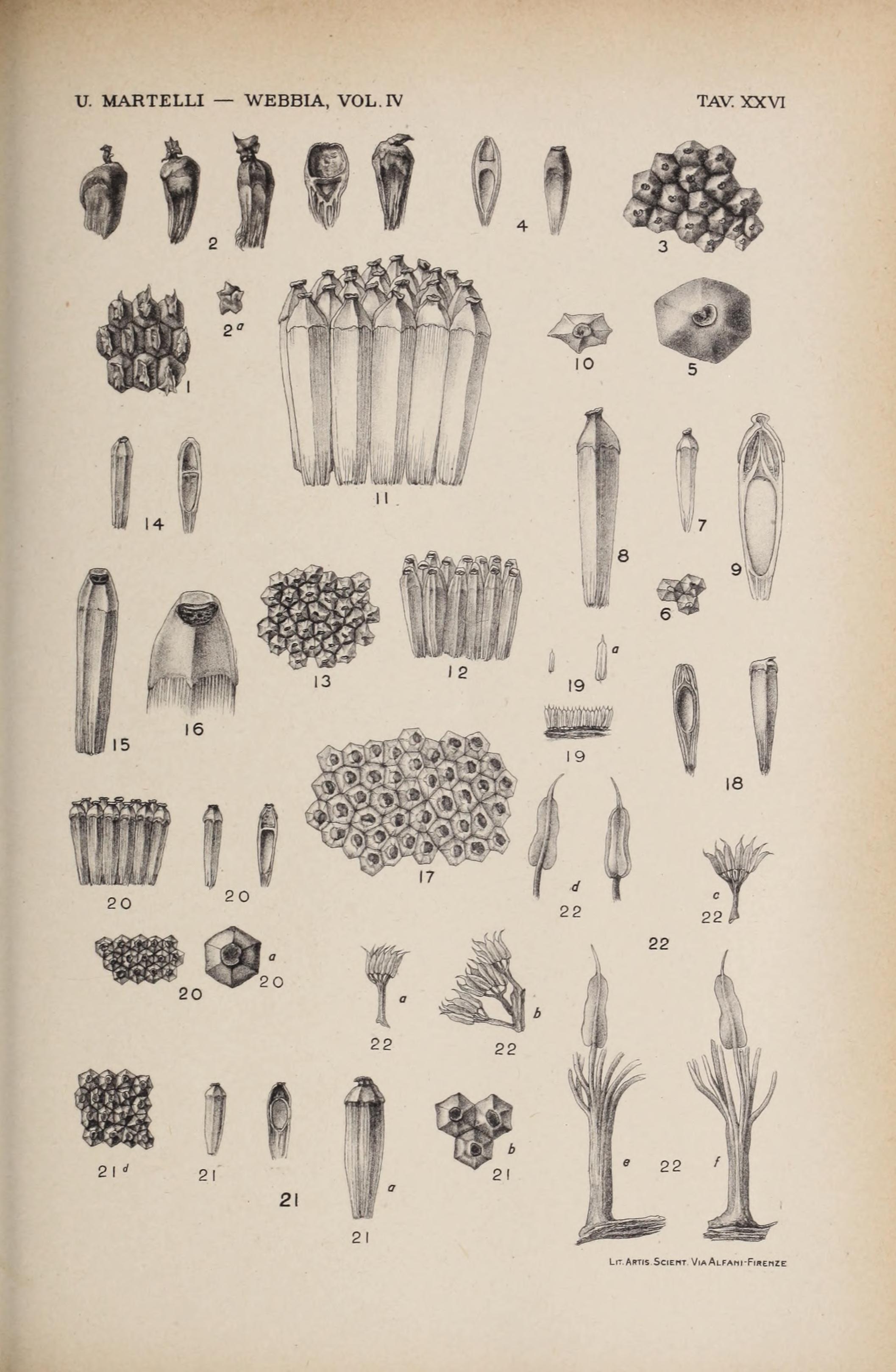 no full size  illustration available (3a)