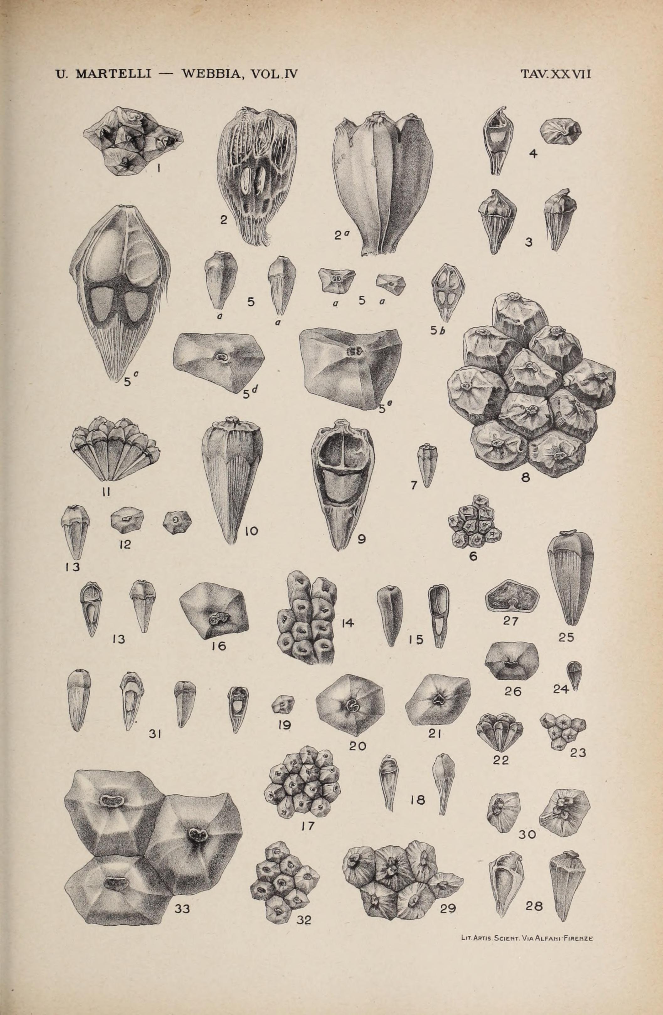 no full size  illustration available (3a)