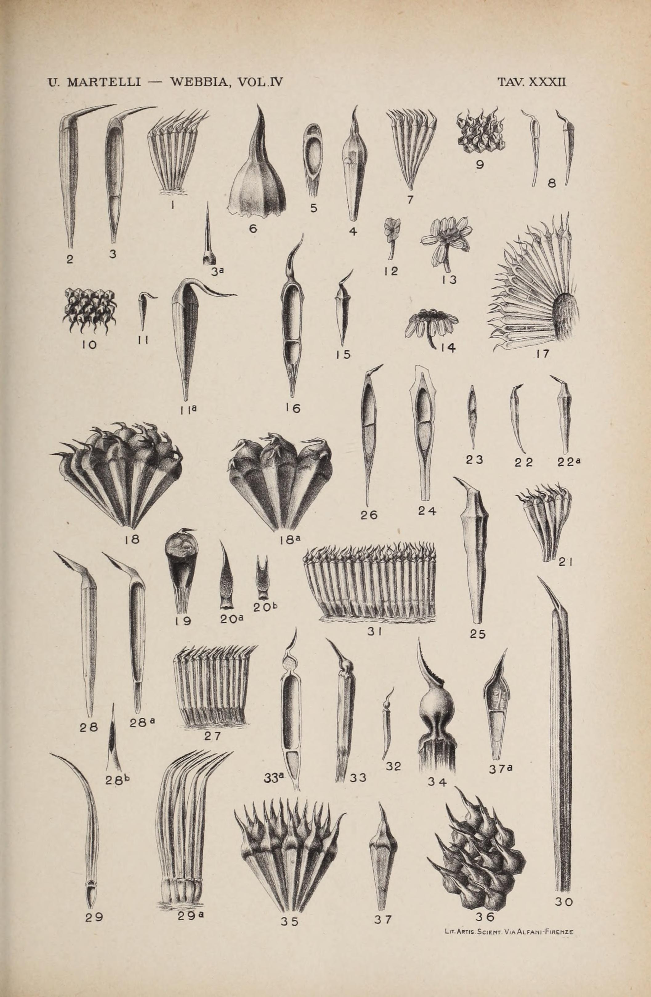 no full size  illustration available (3a)