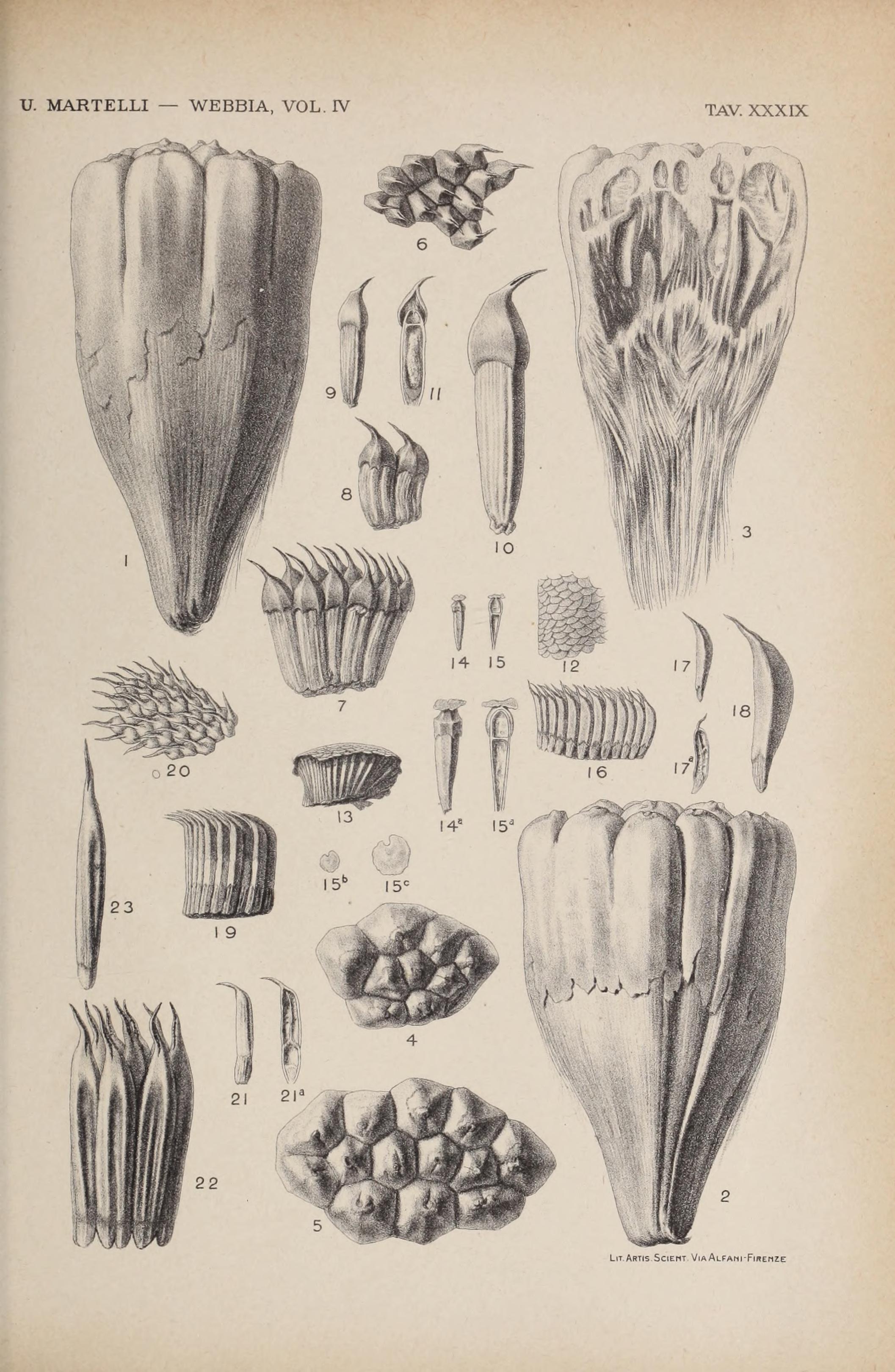 no full size  illustration available (3a)