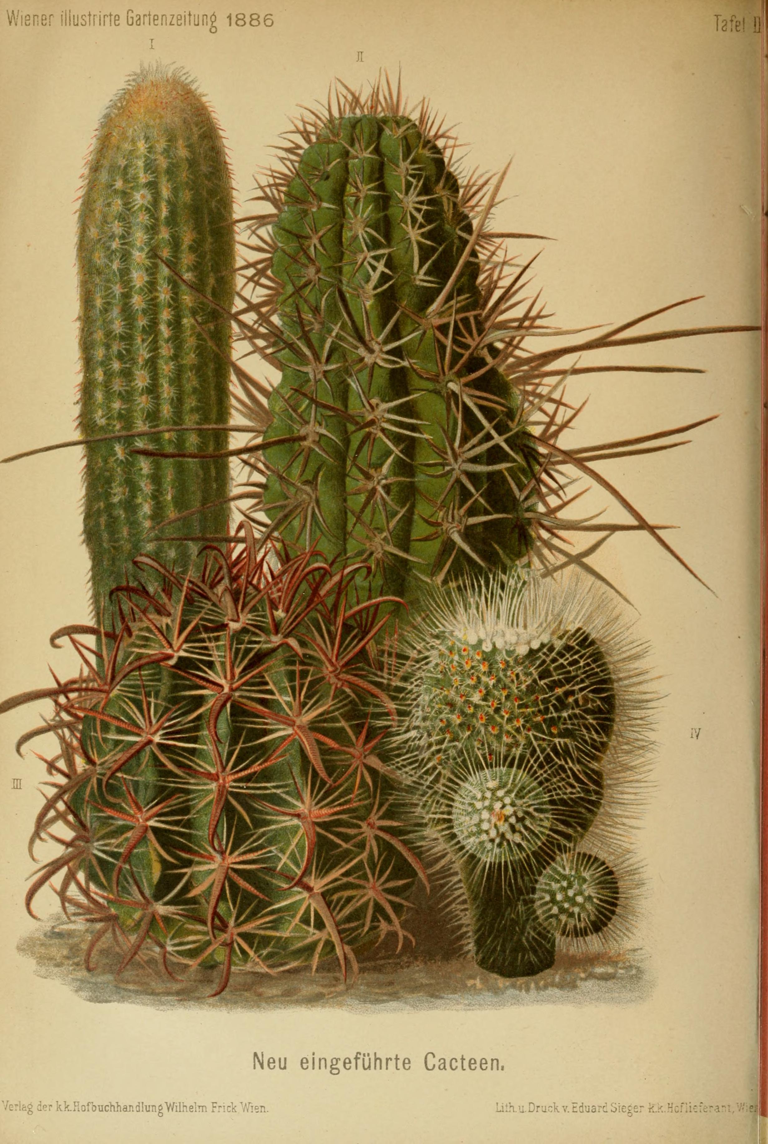 no full size  illustration available (3a)