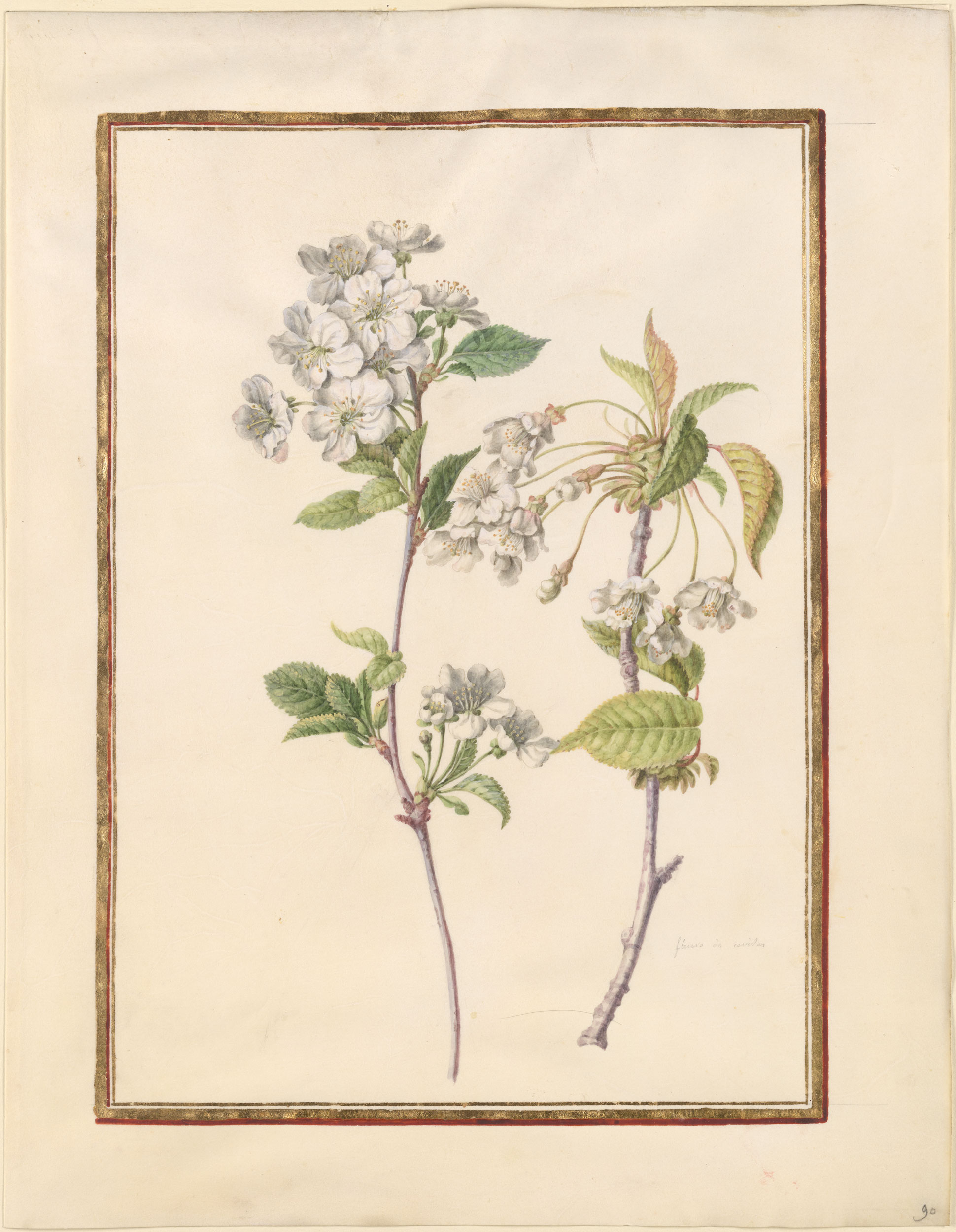 no full size  illustration available (3a)