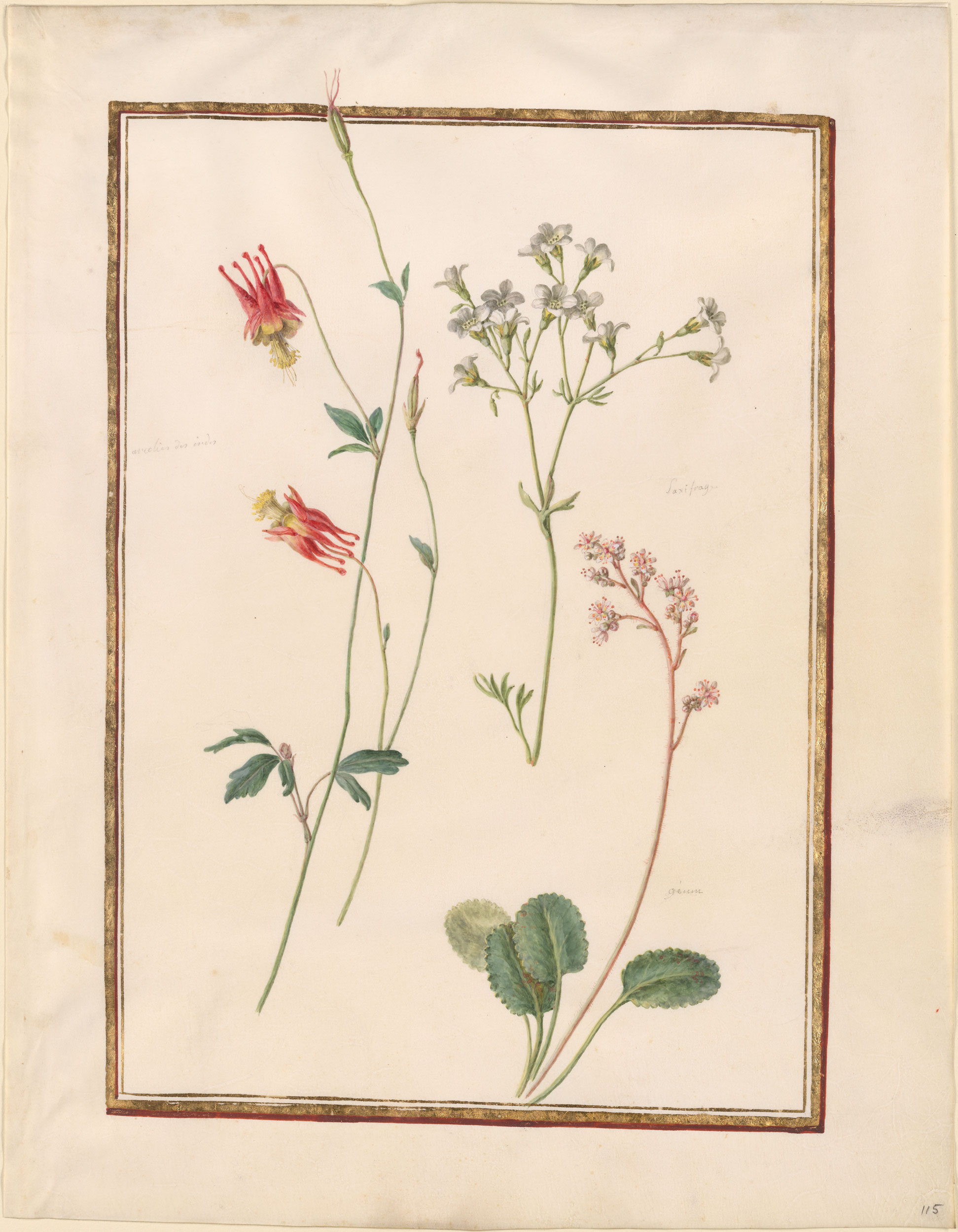 no full size  illustration available (3a)