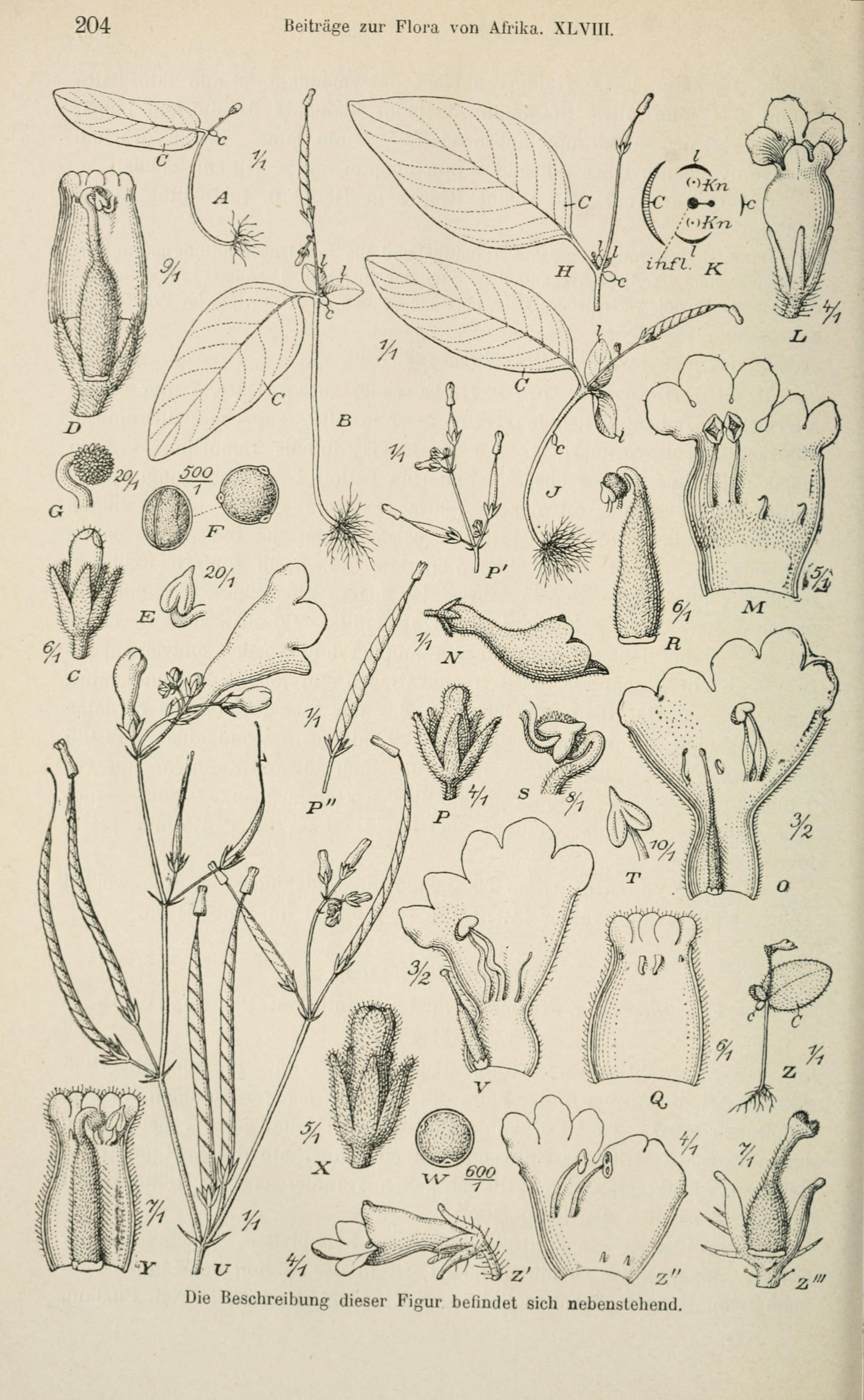 no full size  illustration available (3a)