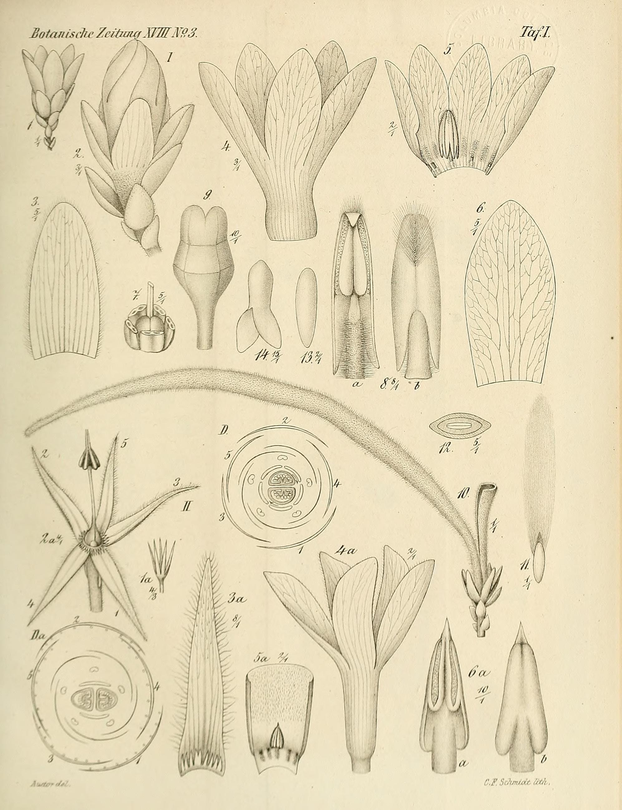 no full size  illustration available (3a)