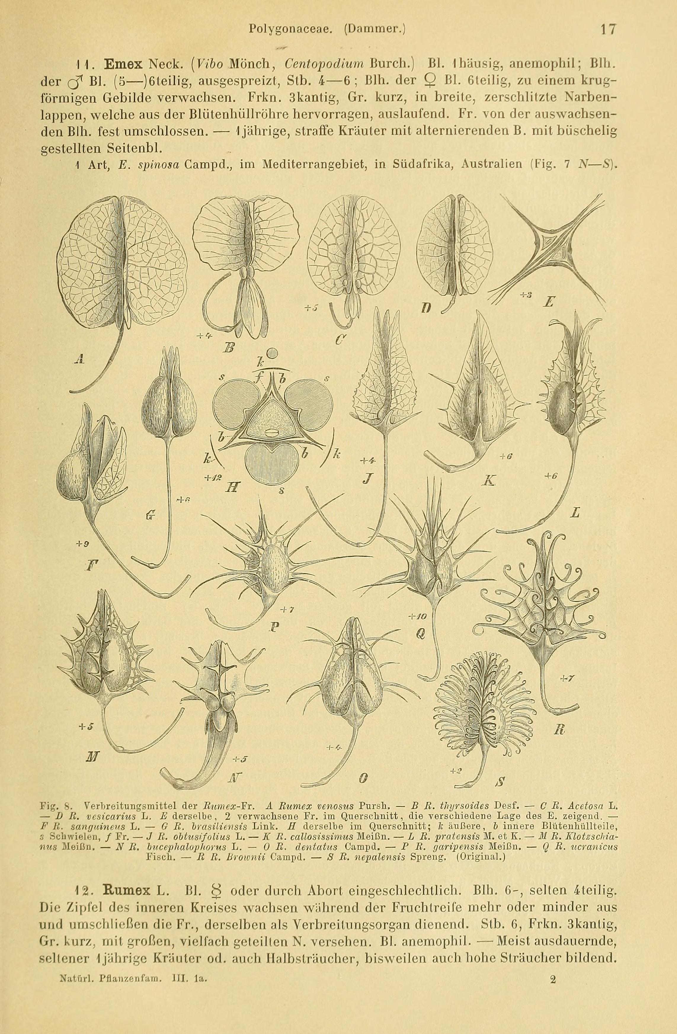 no full size  illustration available (3a)