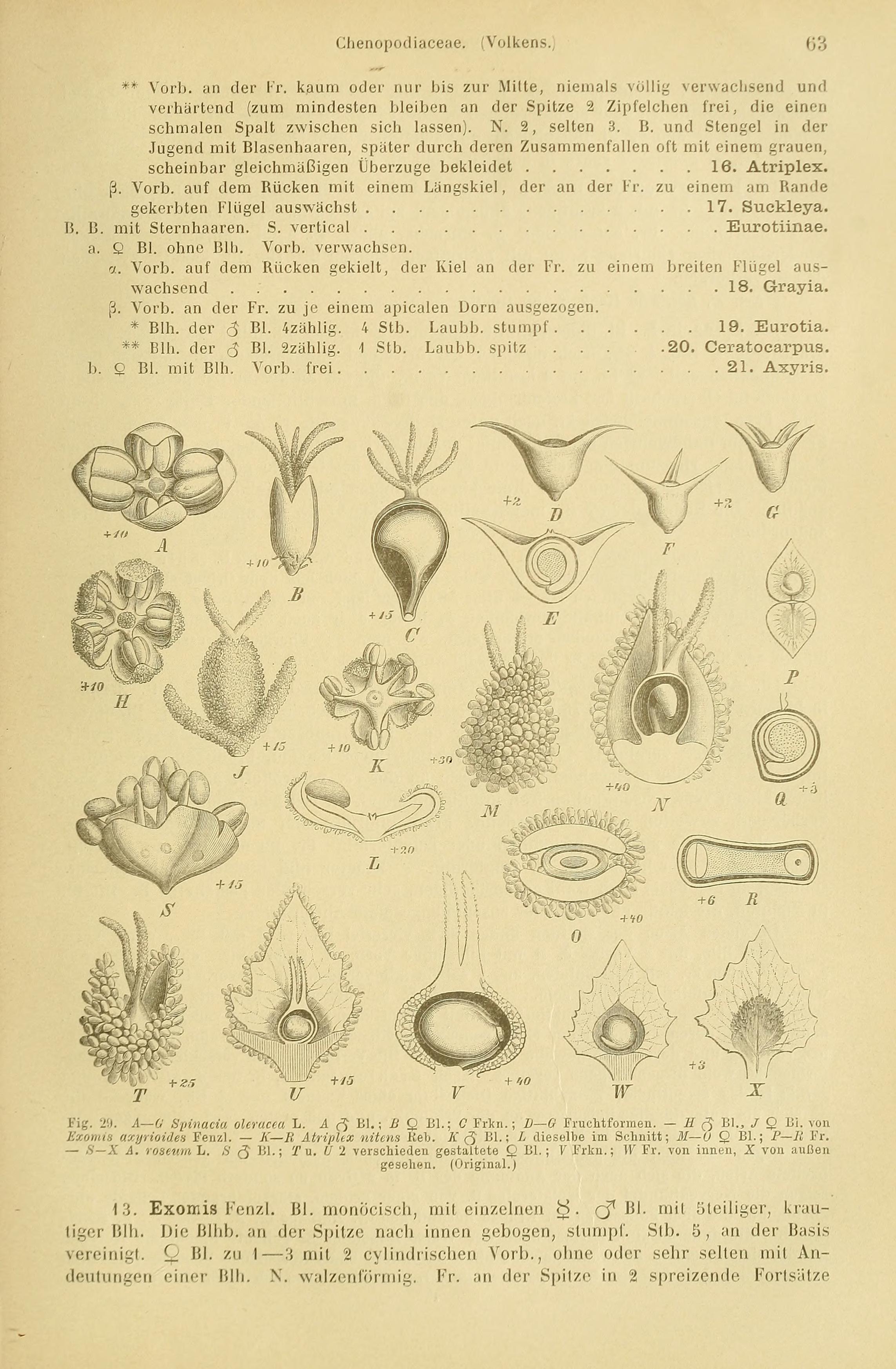 no full size  illustration available (3a)