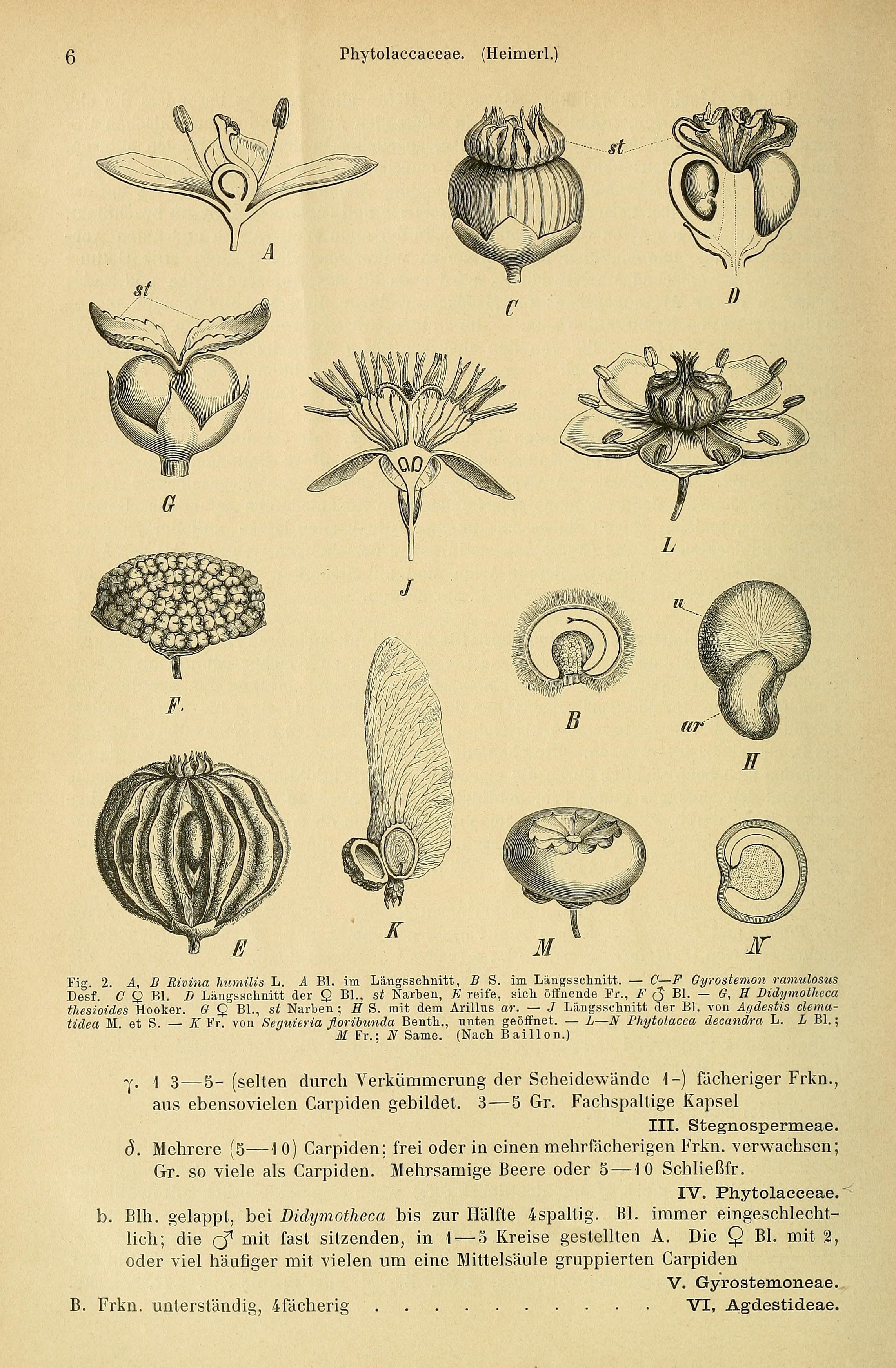 no full size  illustration available (3a)