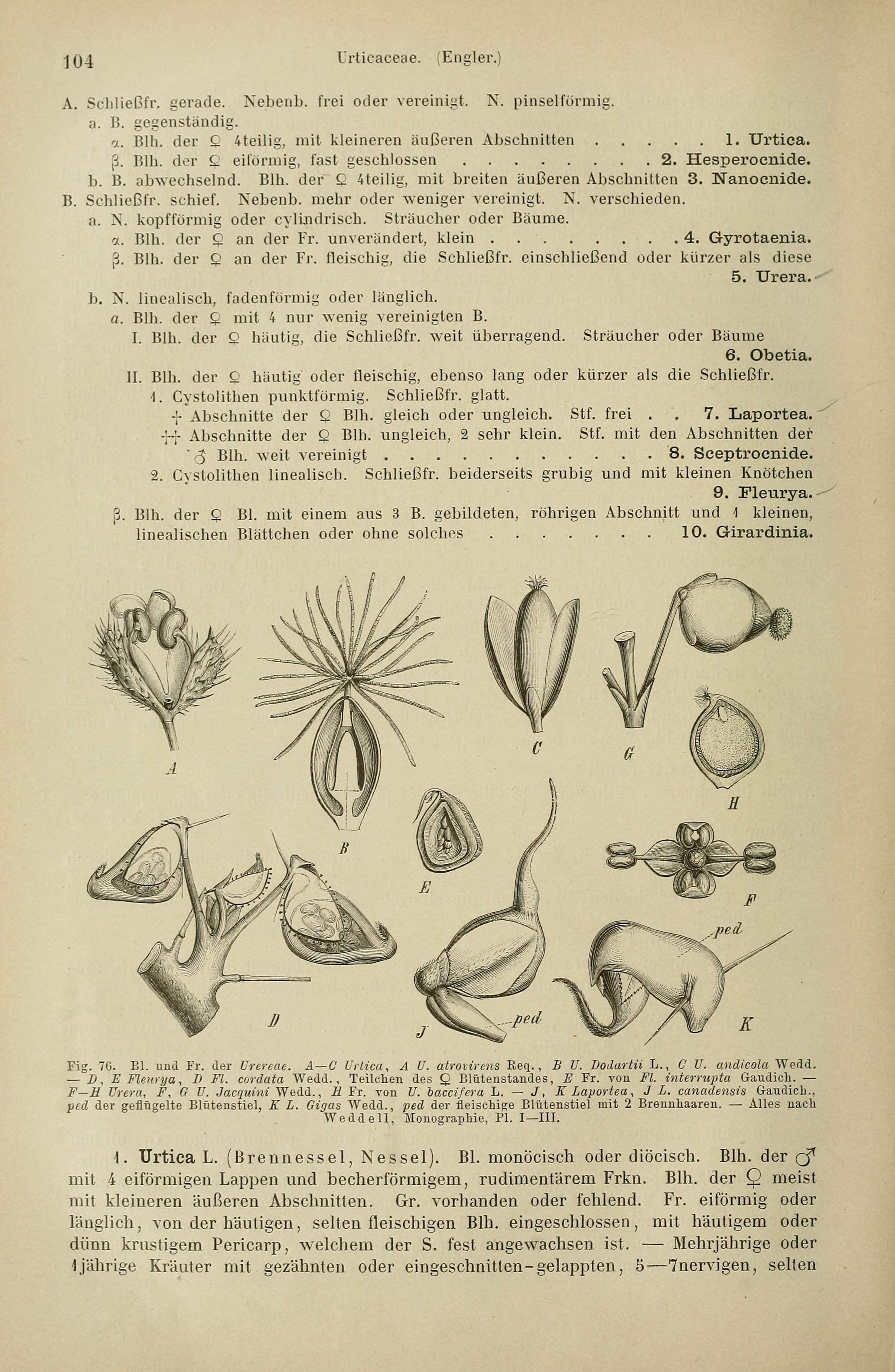 no full size  illustration available (3a)