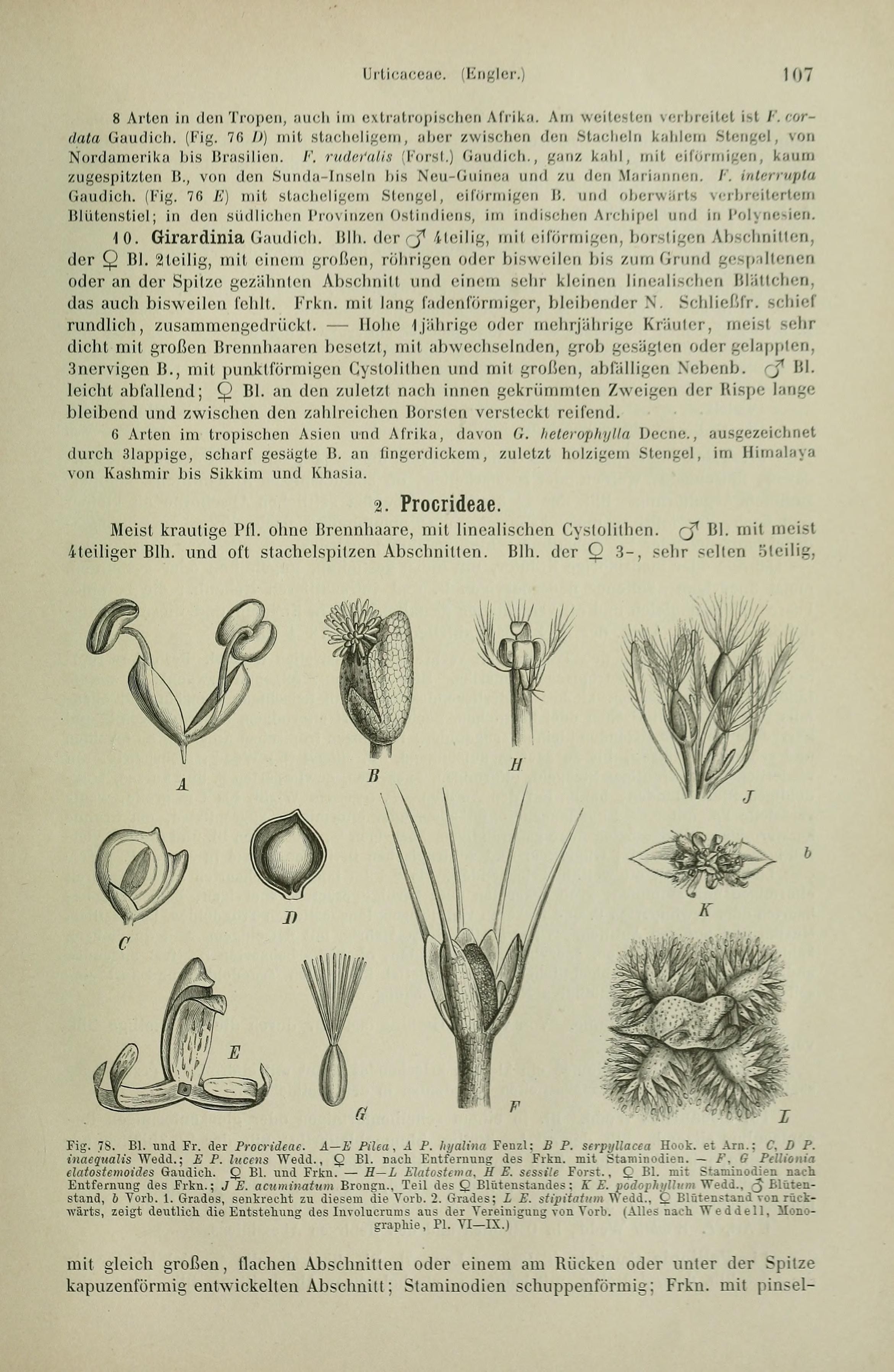 no full size  illustration available (3a)