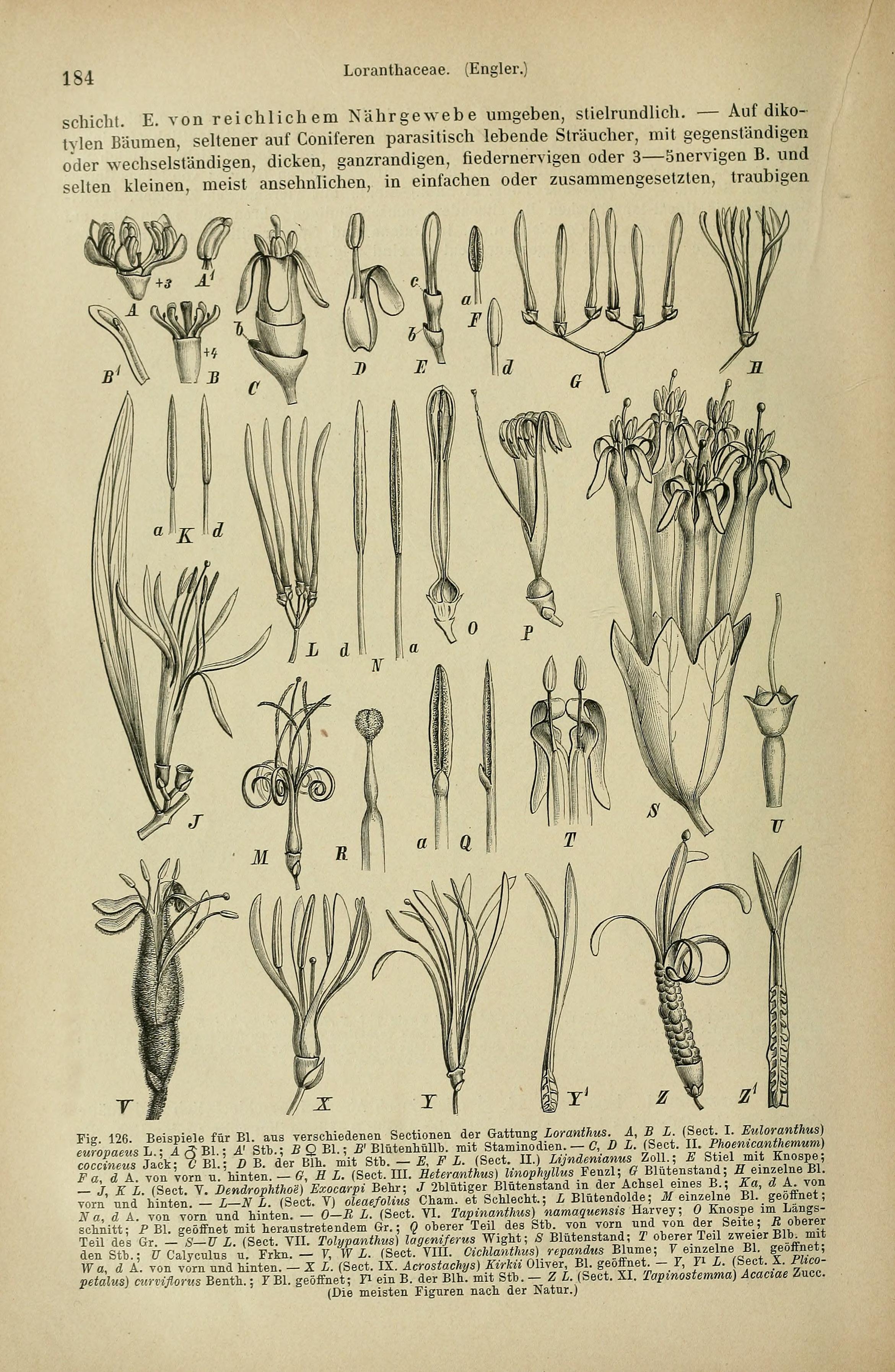 no full size  illustration available (3a)