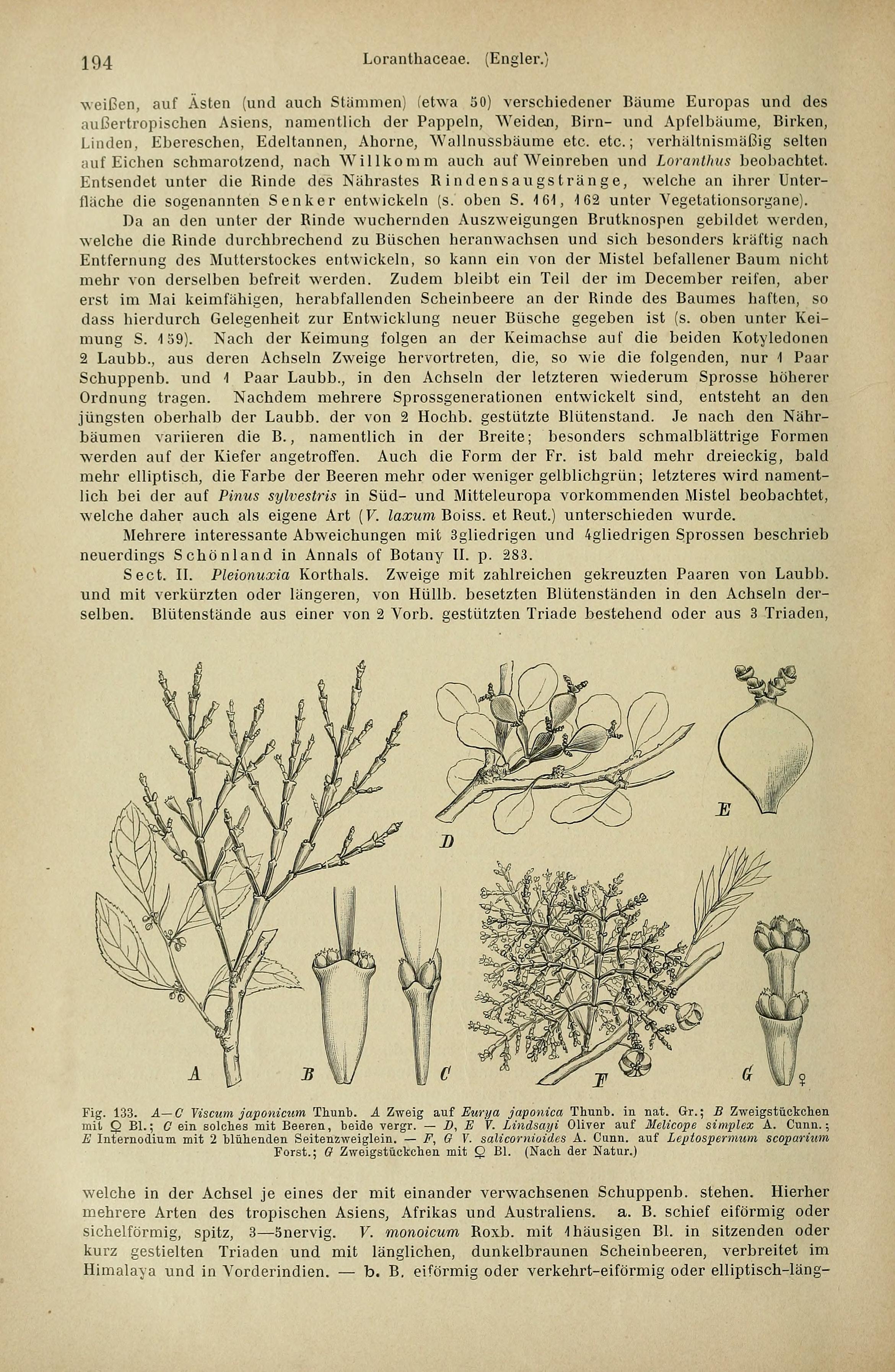 no full size  illustration available (3a)