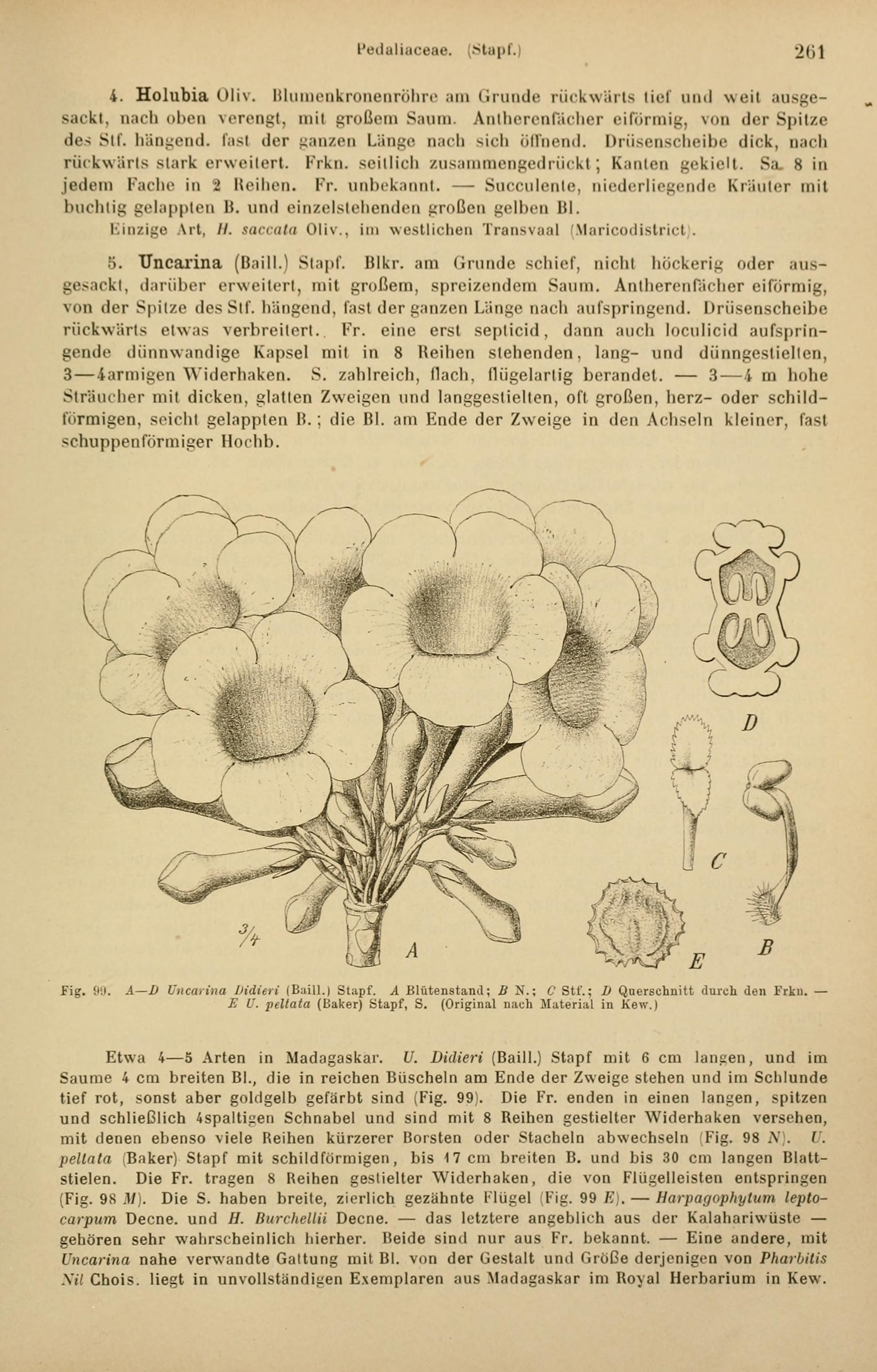 no full size  illustration available (3a)