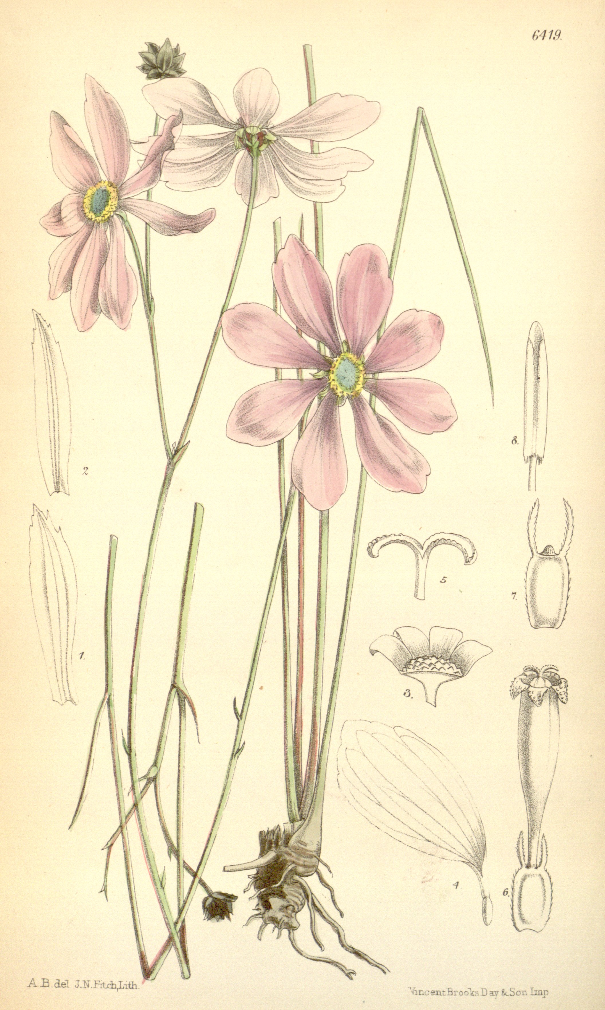 no full size  illustration available (3a)