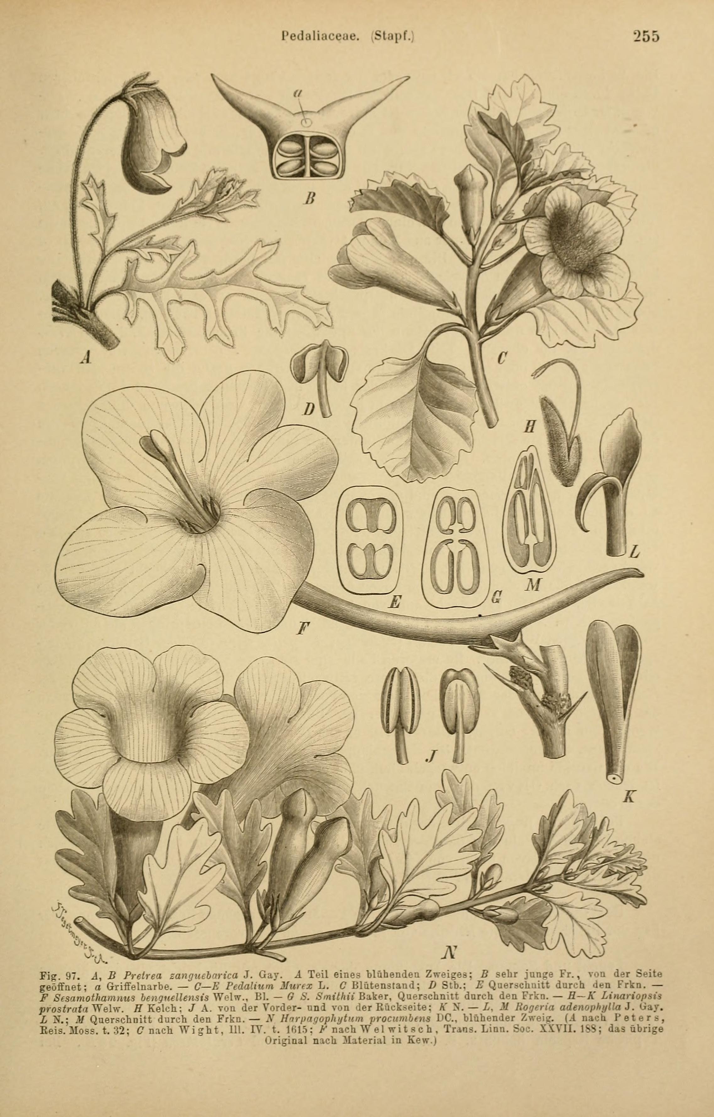 no full size  illustration available (3a)