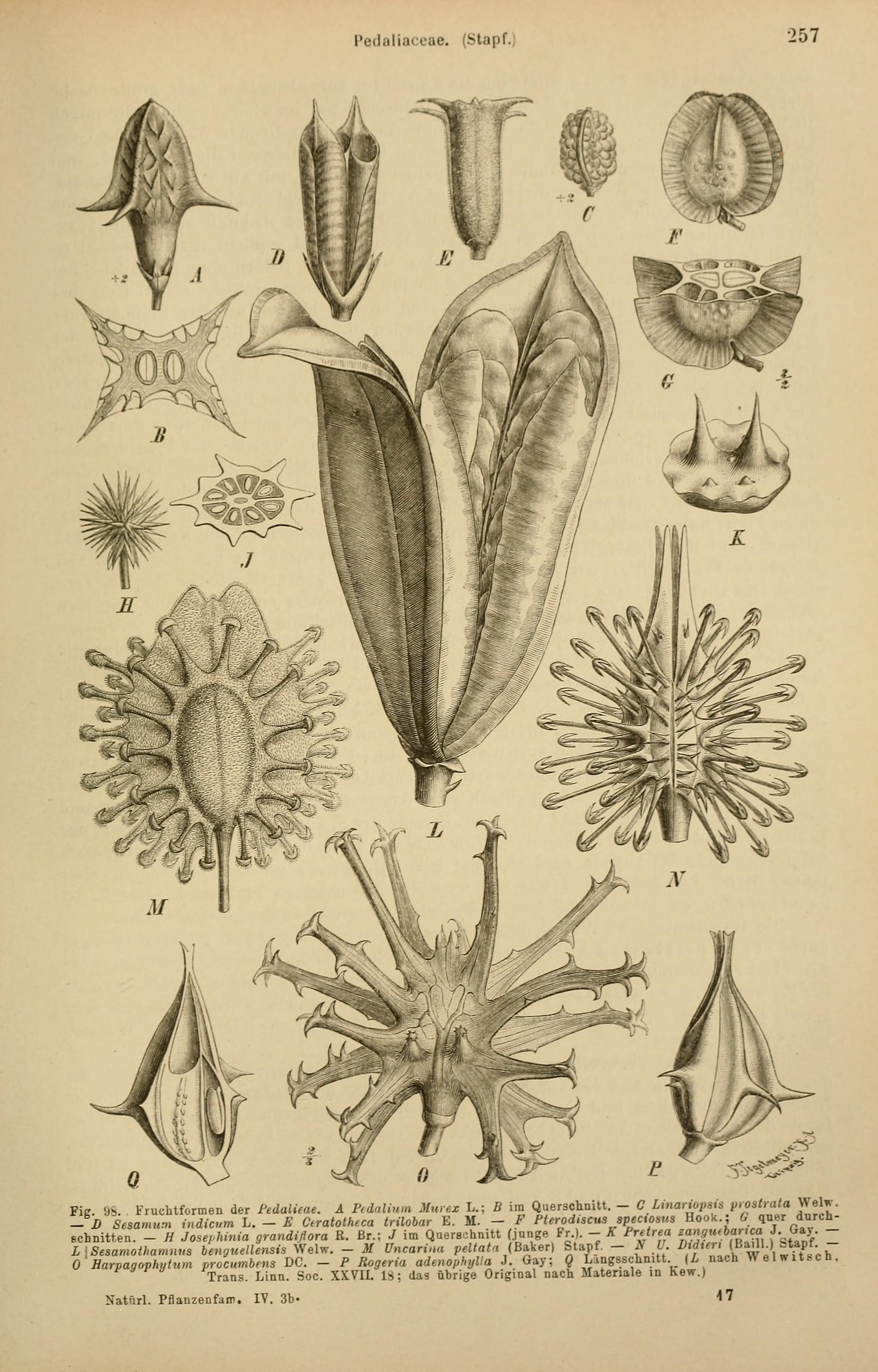 no full size  illustration available (3a)