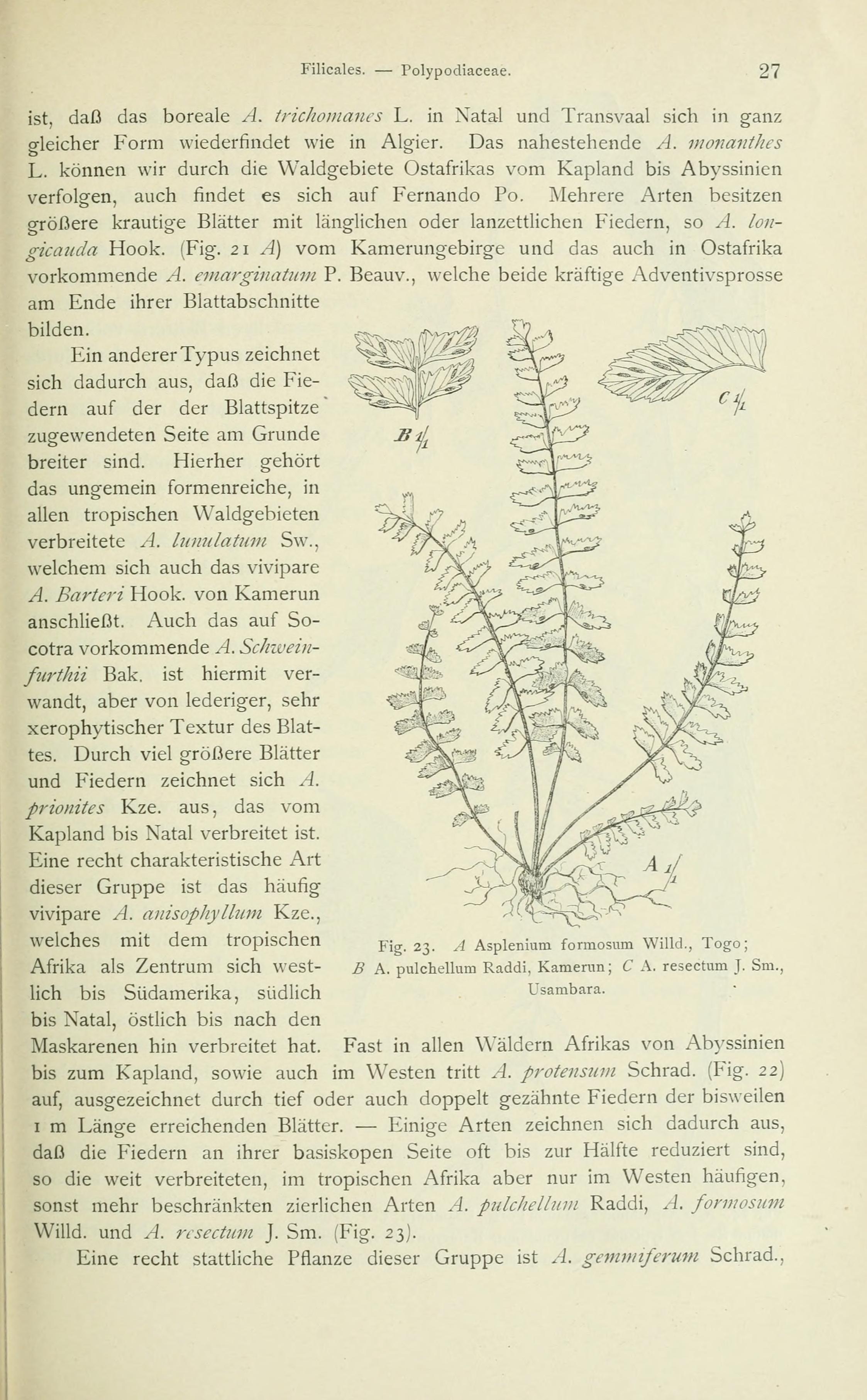 no full size  illustration available (3a)