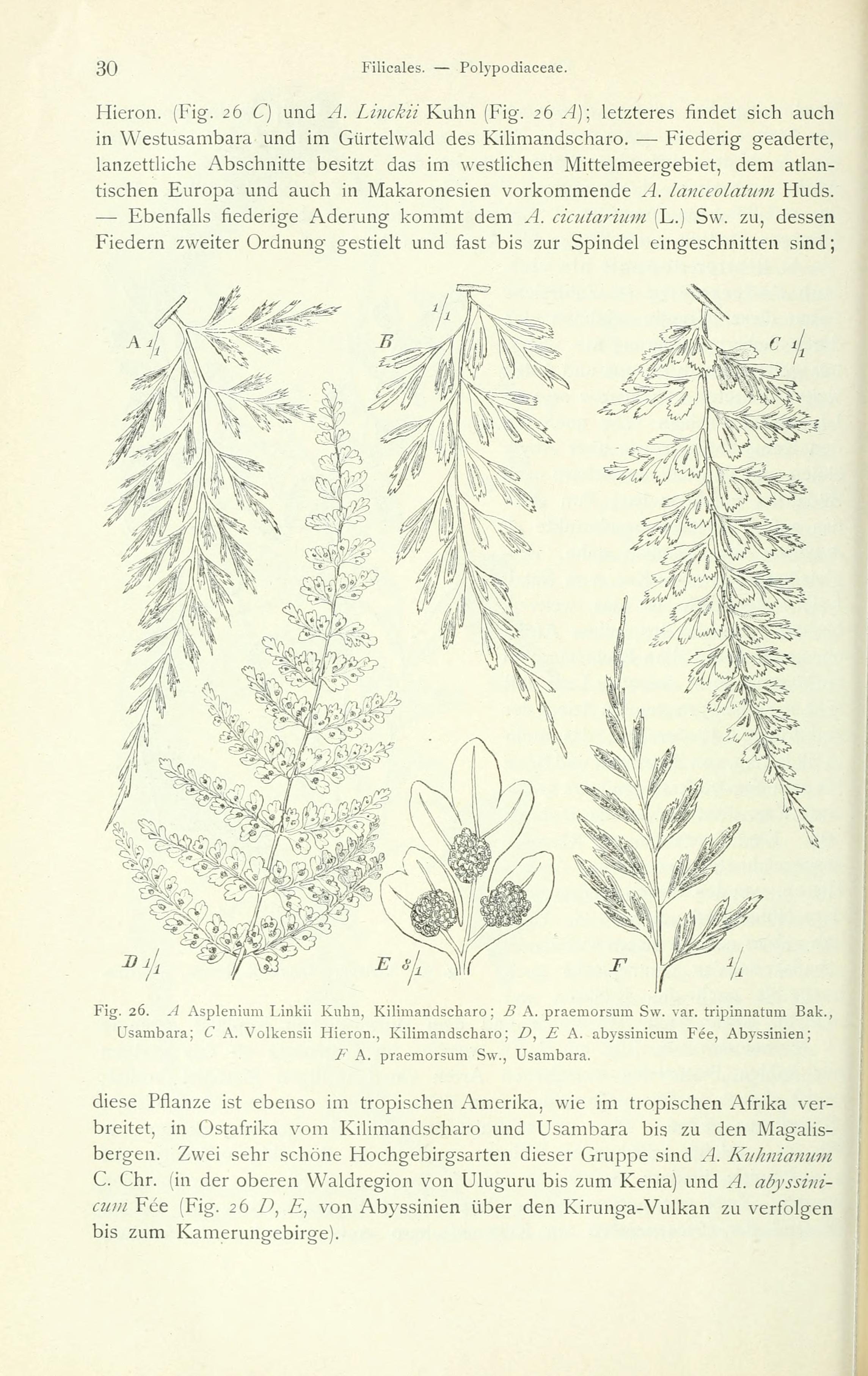 no full size  illustration available (3a)