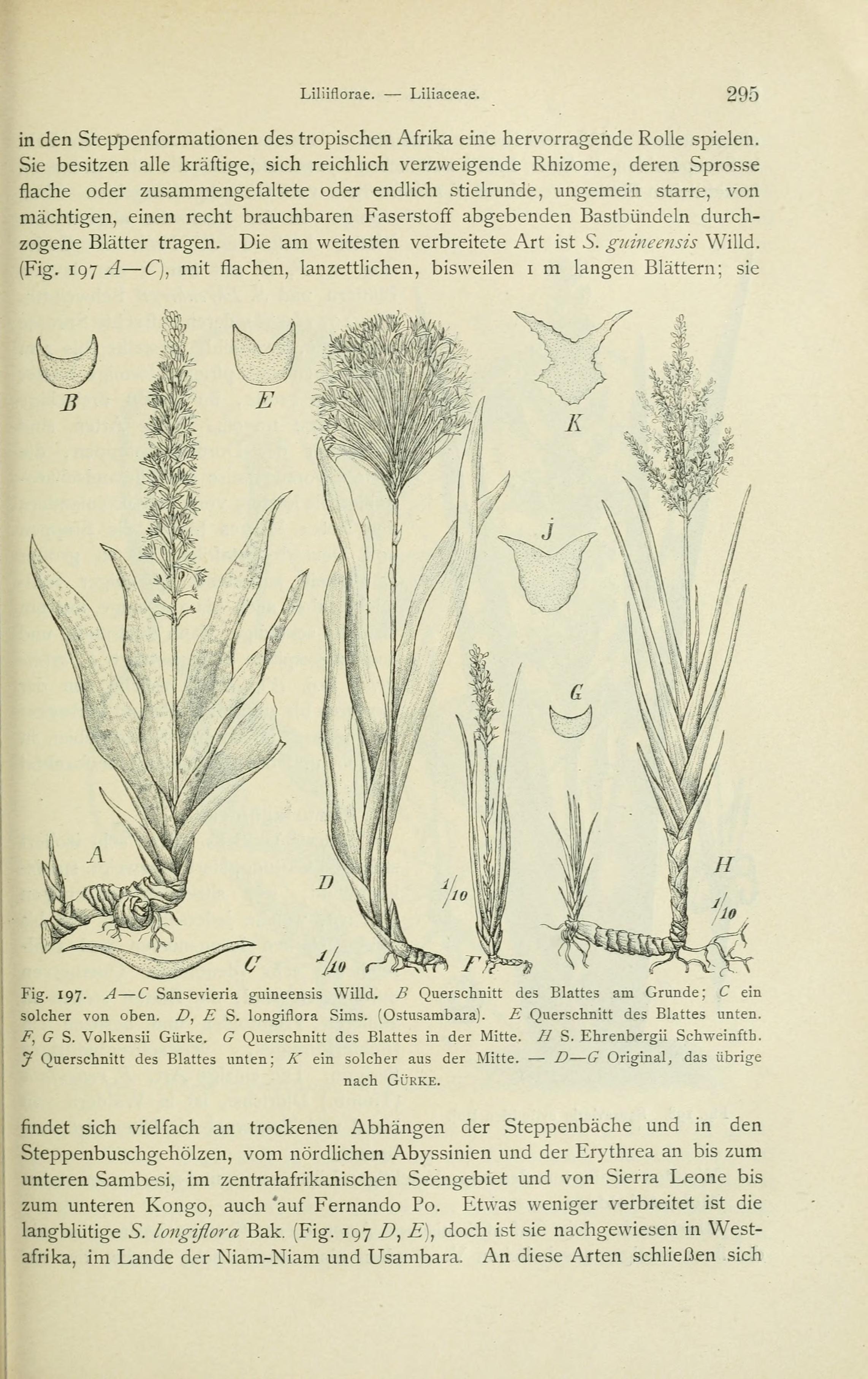 no full size  illustration available (3a)