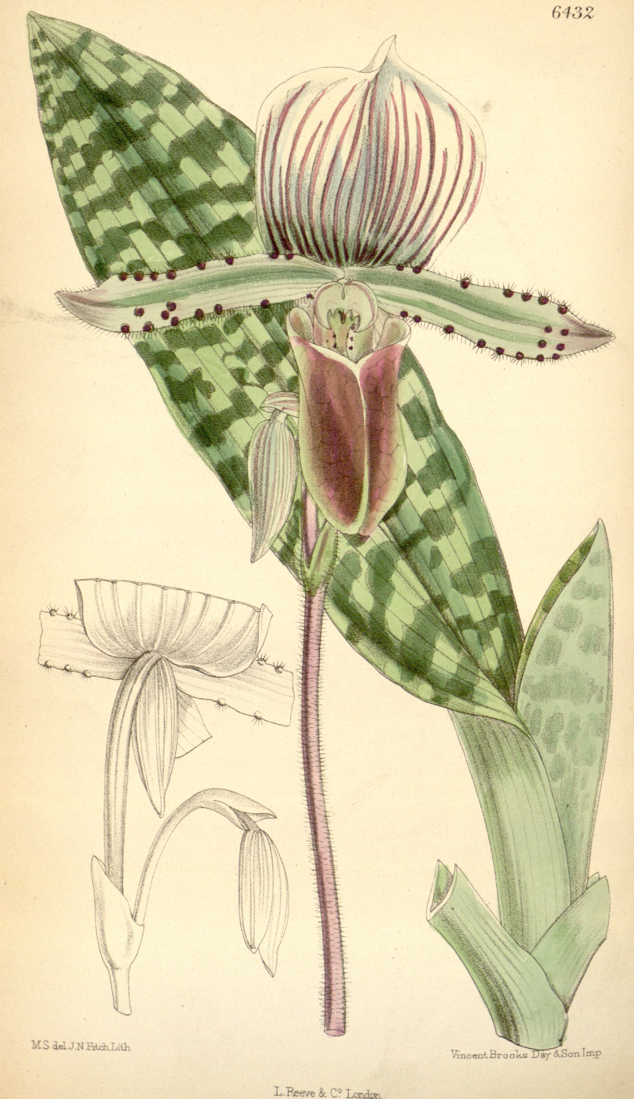 no full size  illustration available (3a)