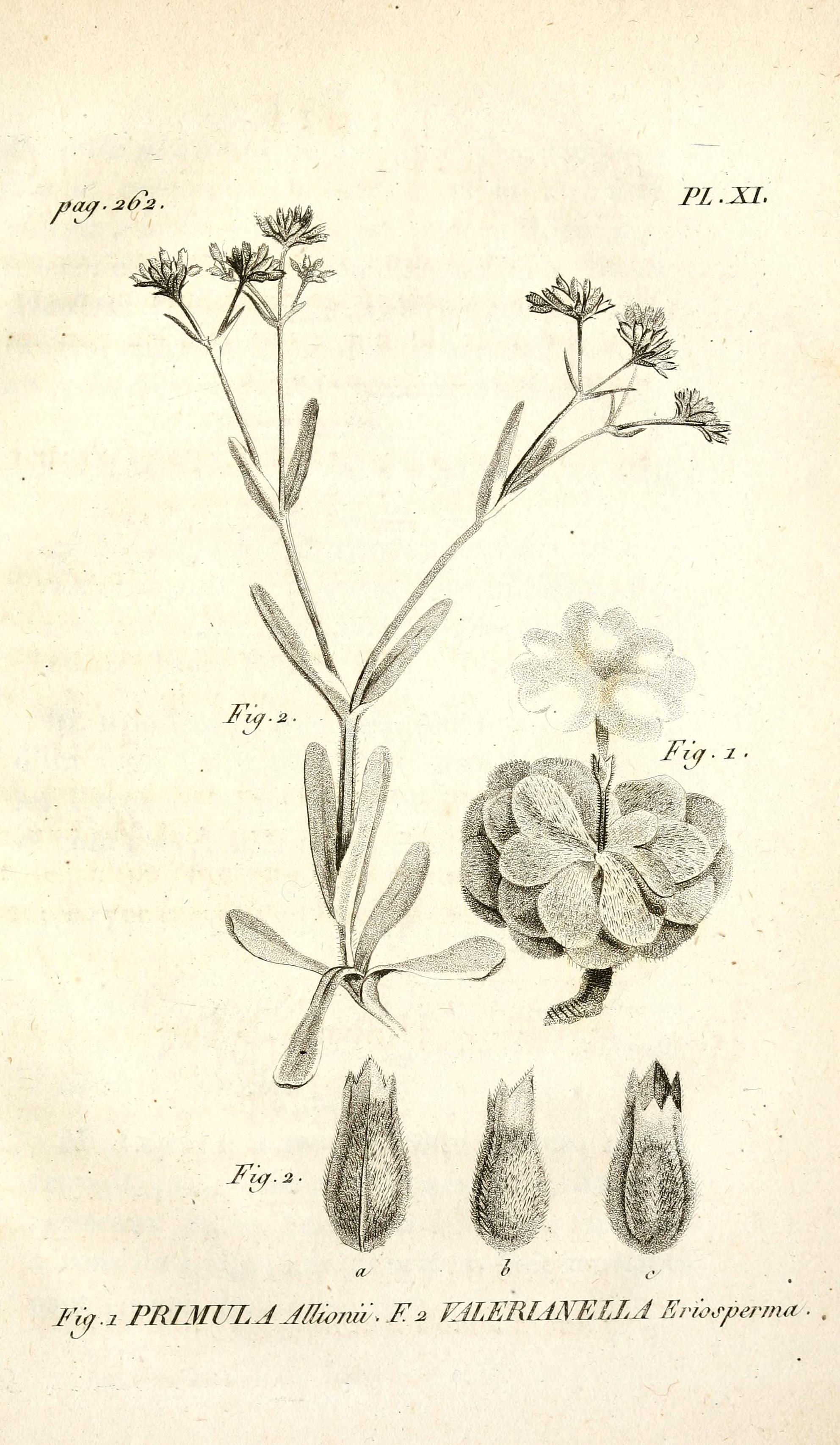 no full size  illustration available (3a)