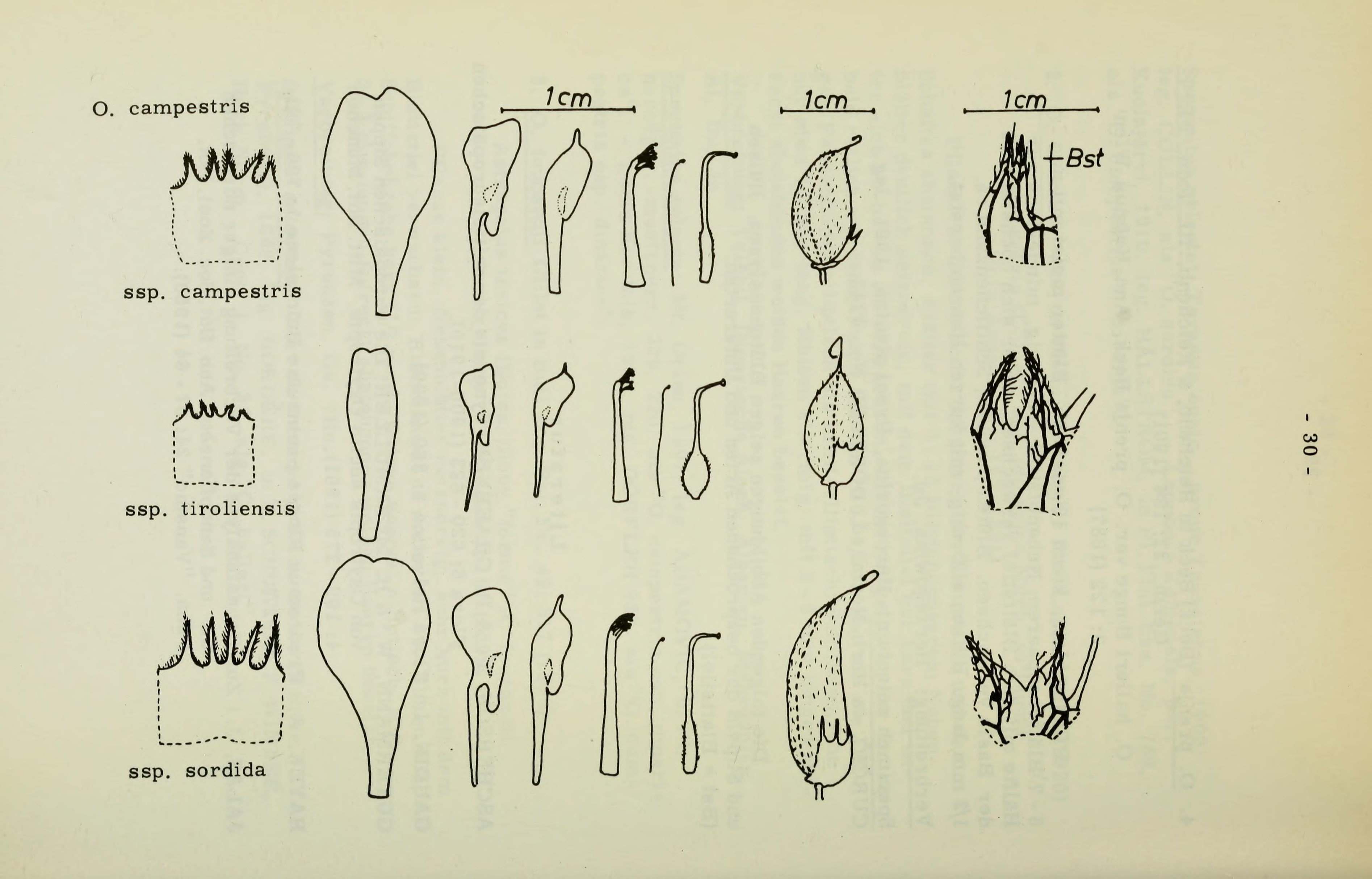 no full size  illustration available (3a)