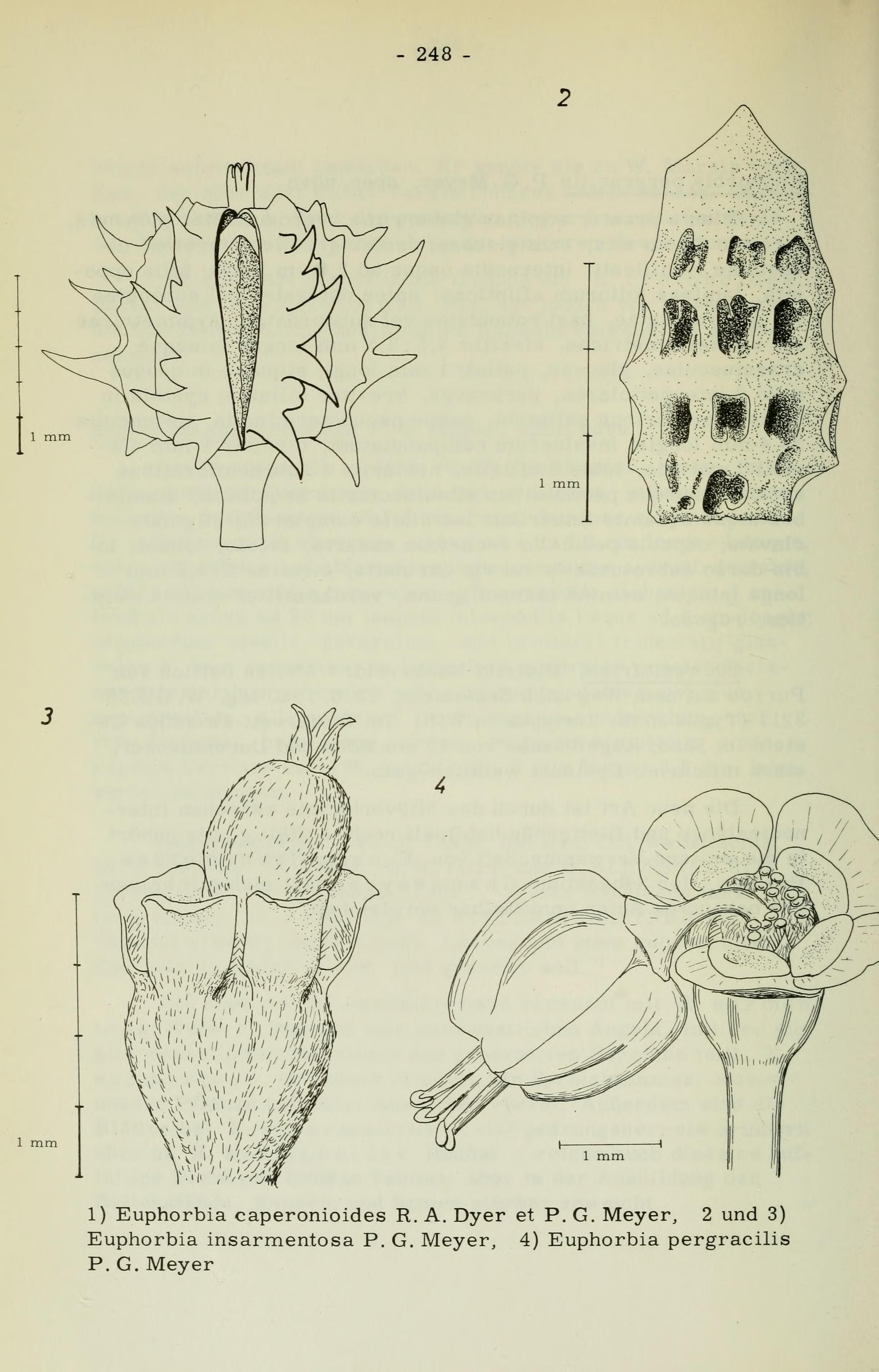 no full size  illustration available (3a)