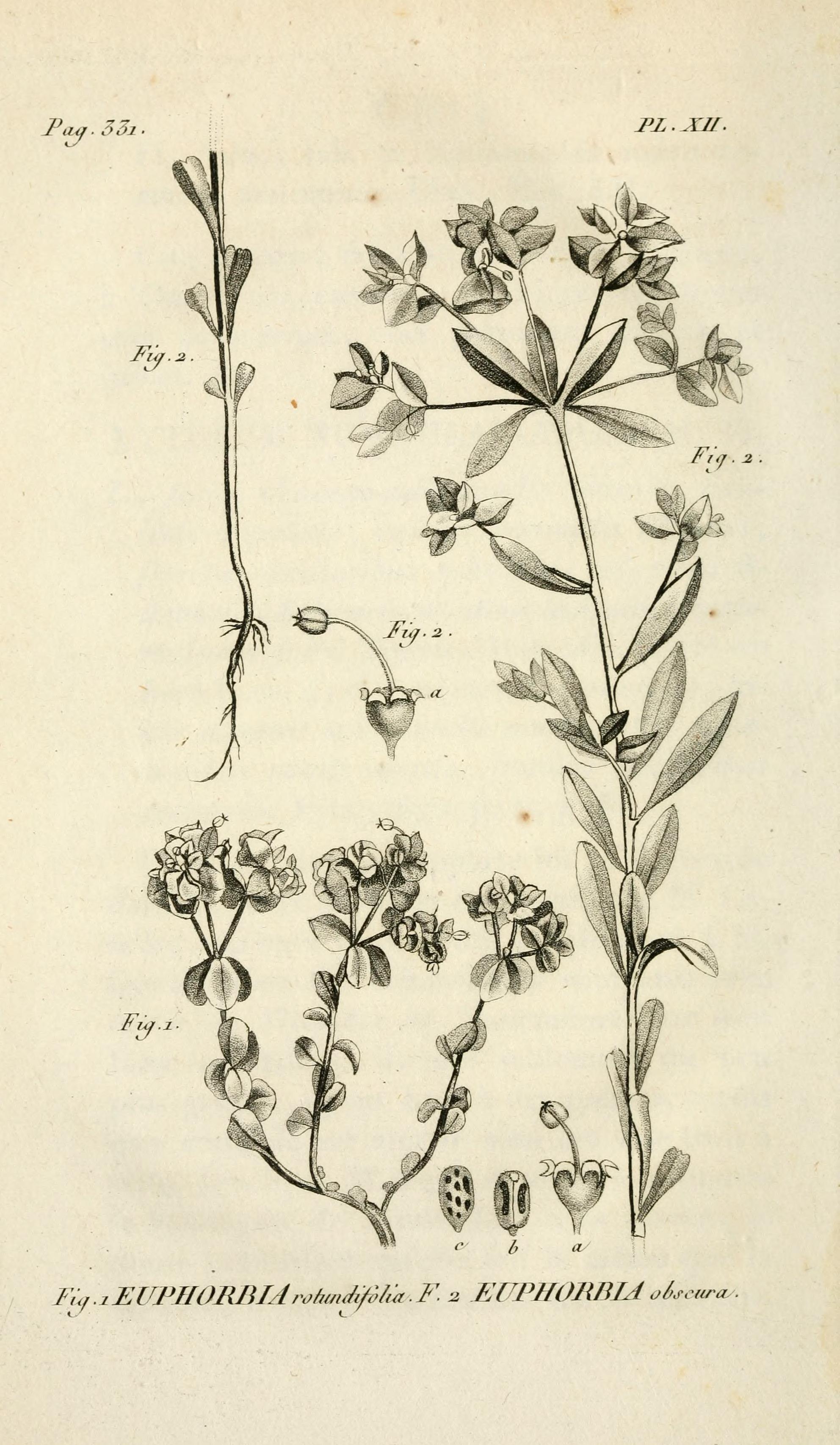 no full size  illustration available (3a)