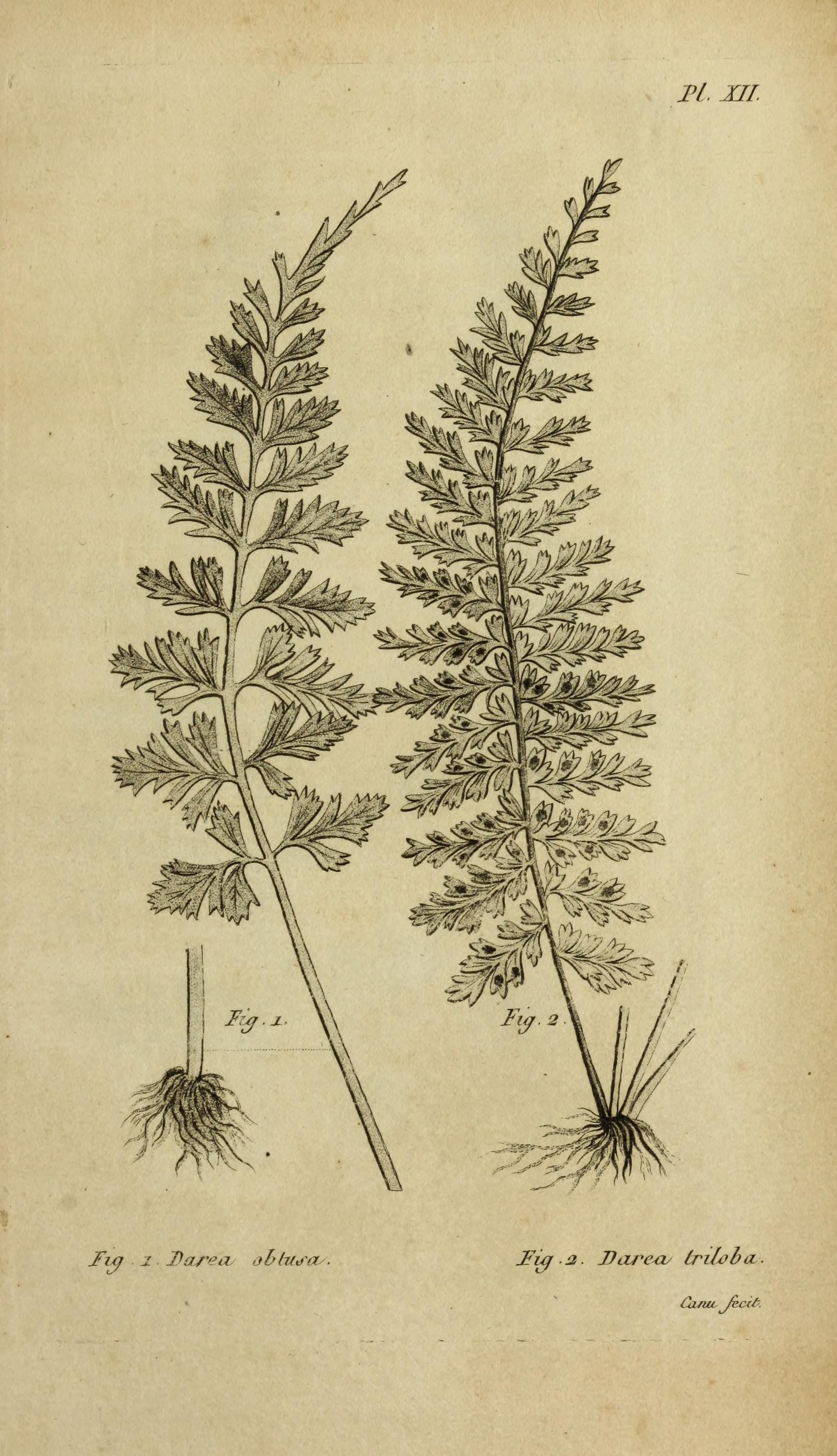 no full size  illustration available (3a)