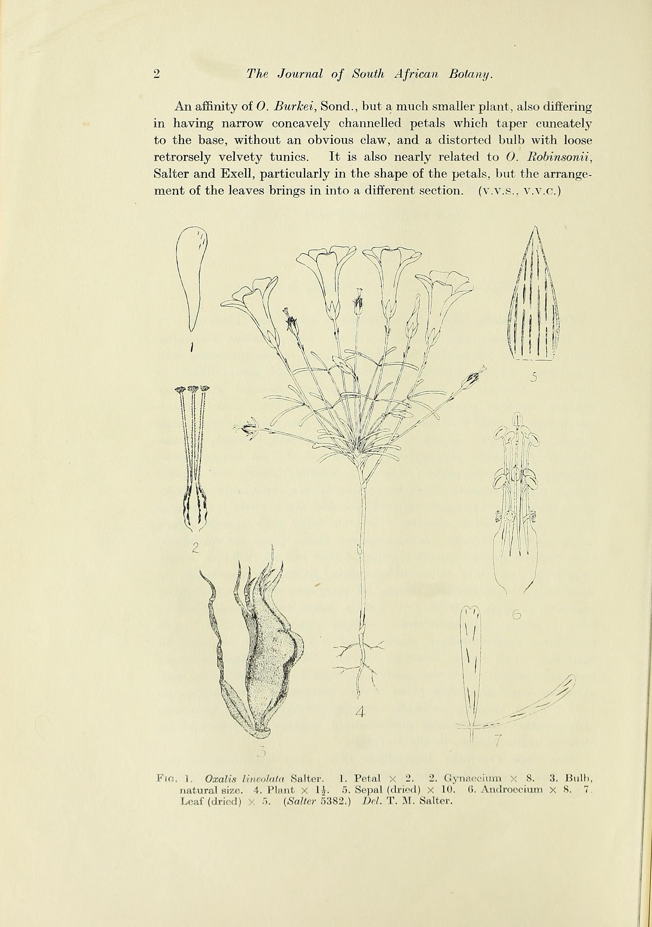 no full size  illustration available (3a)