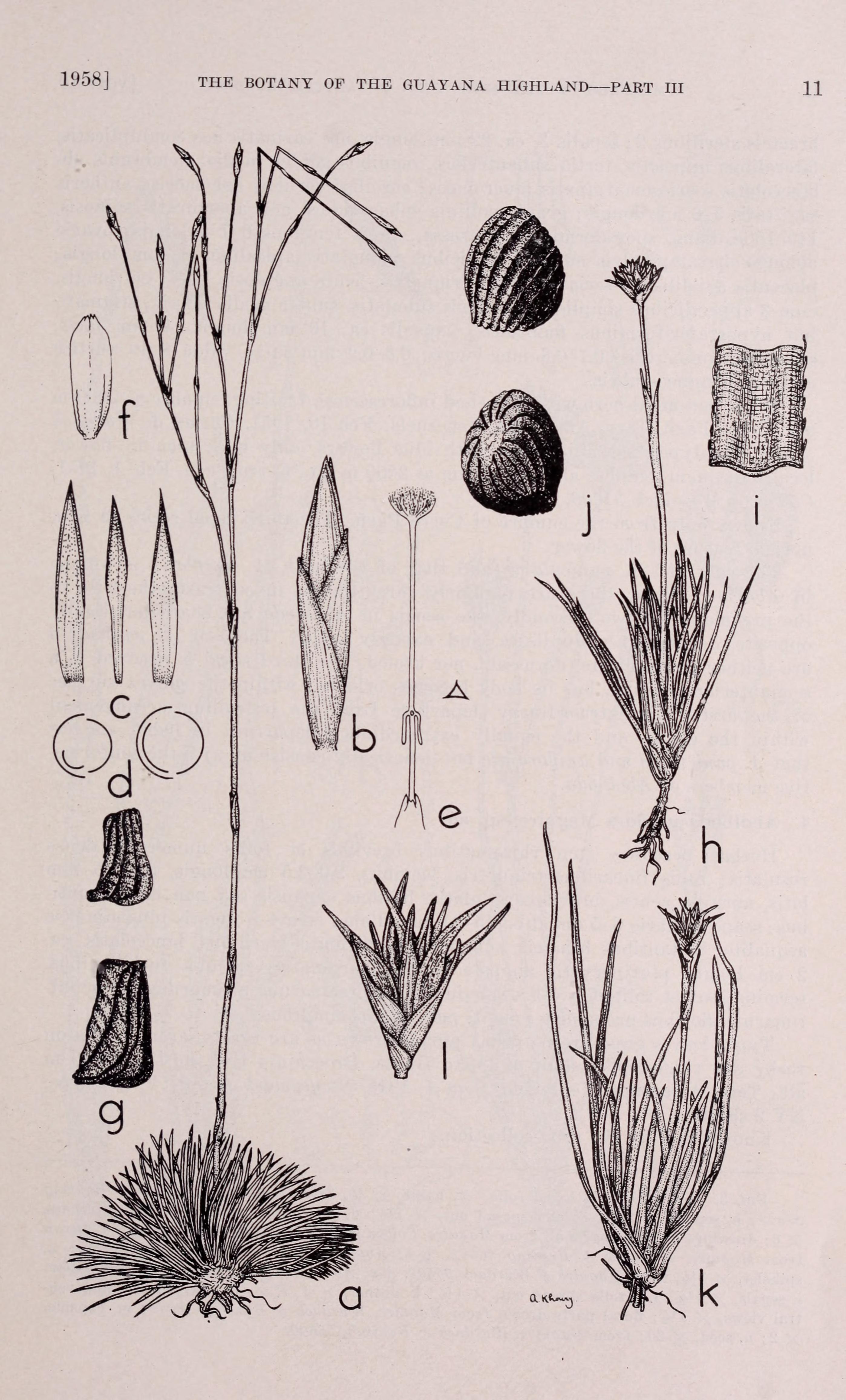 no full size  illustration available (3a)