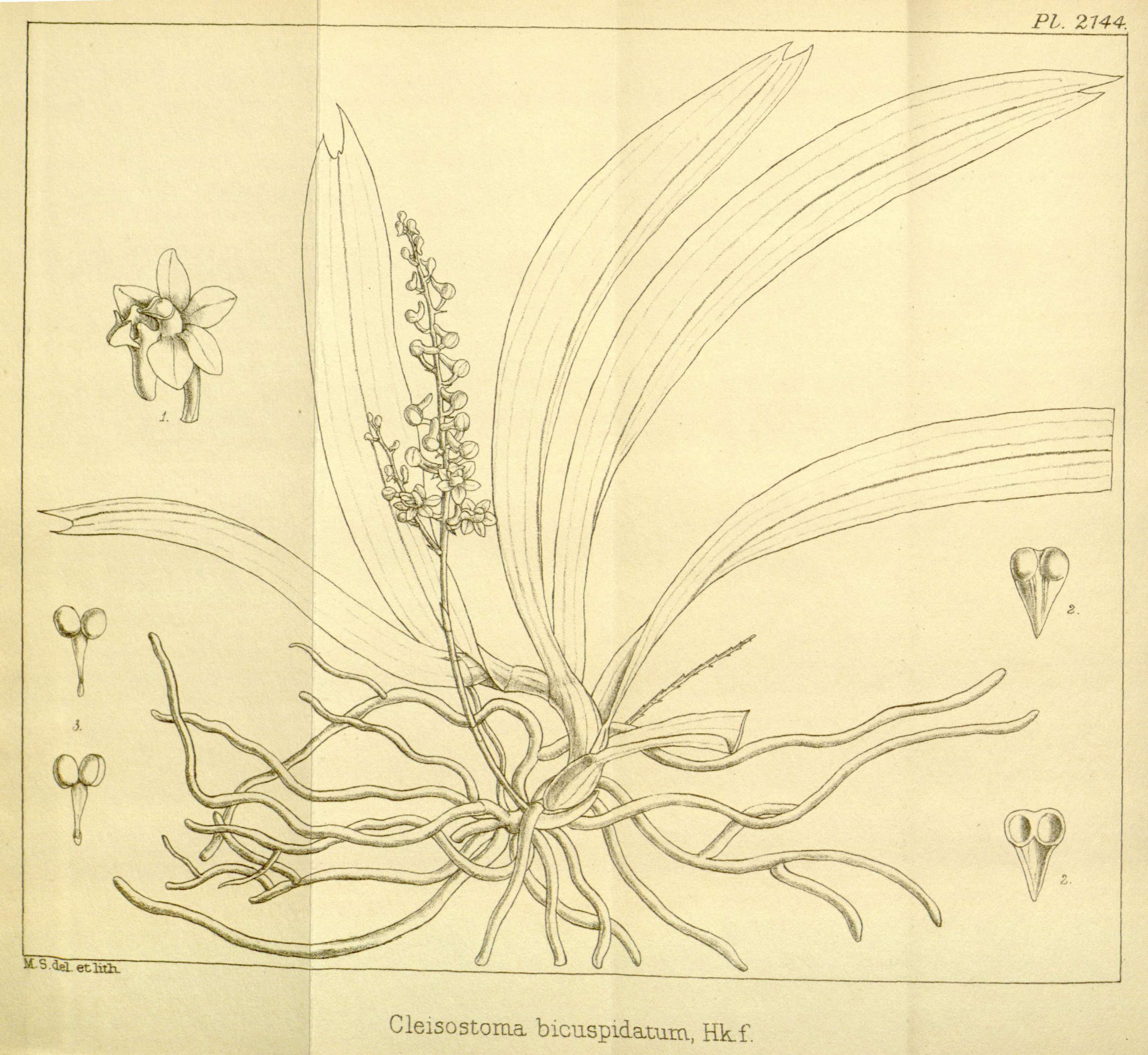 no full size  illustration available (3a)