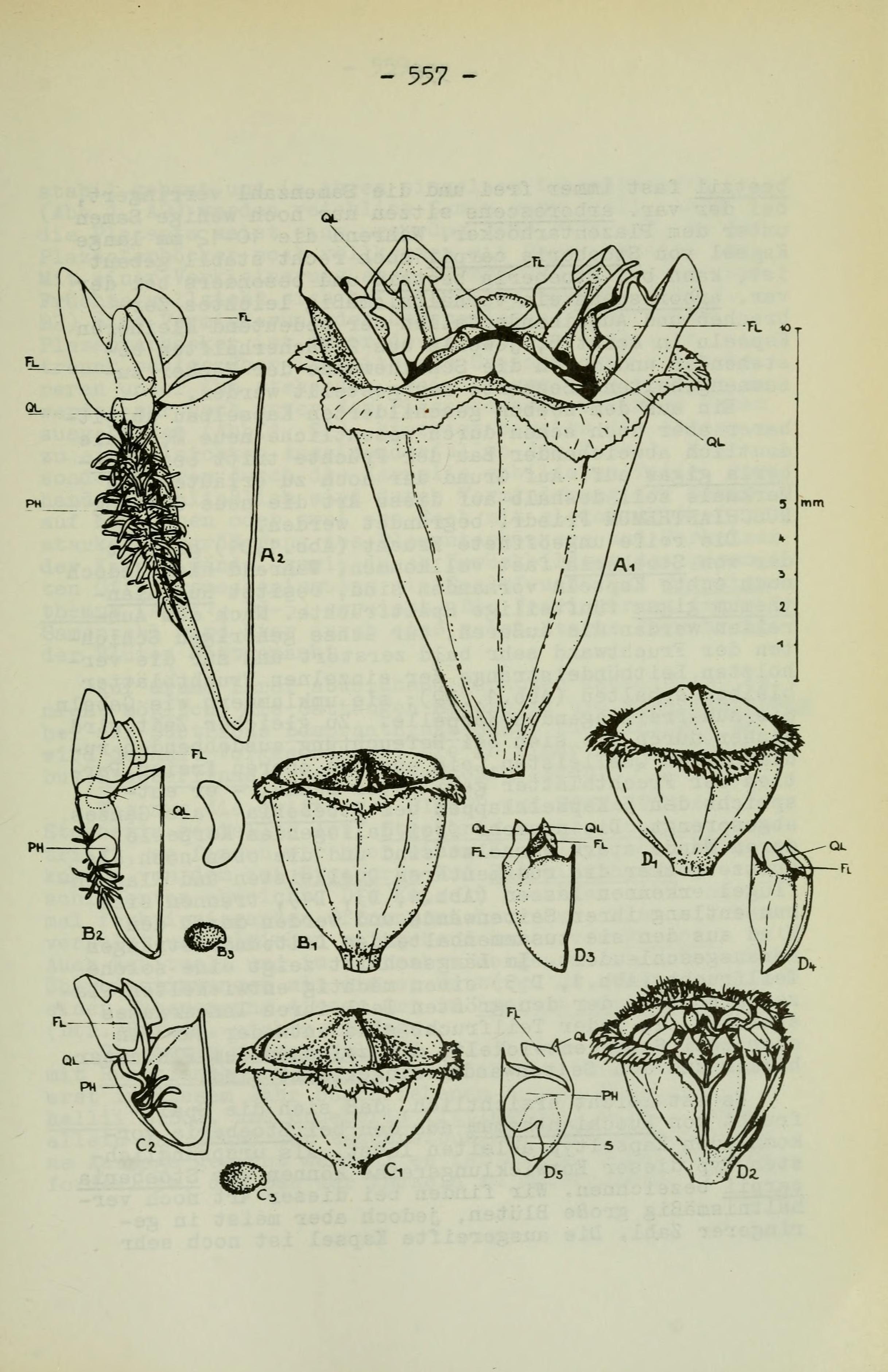 no full size  illustration available (3a)