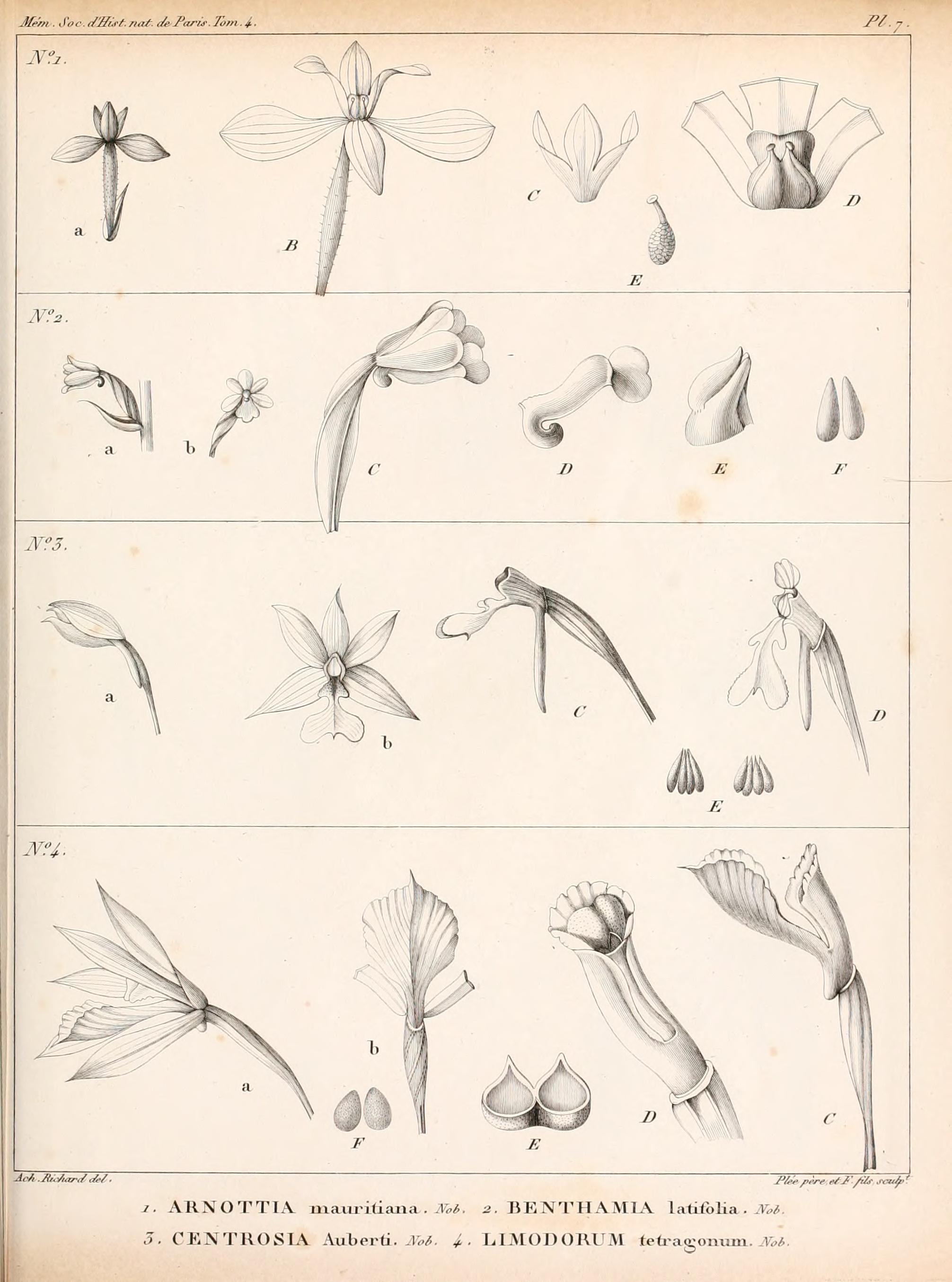 no full size  illustration available (3a)