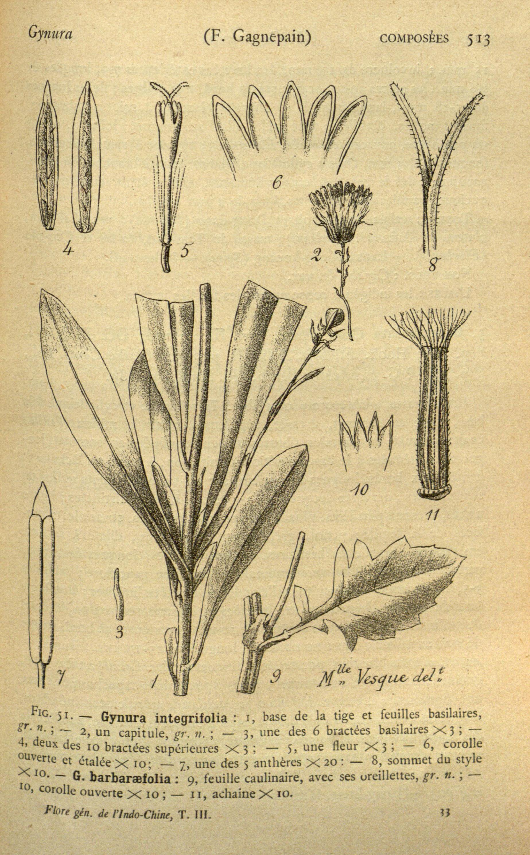 no full size  illustration available (3a)