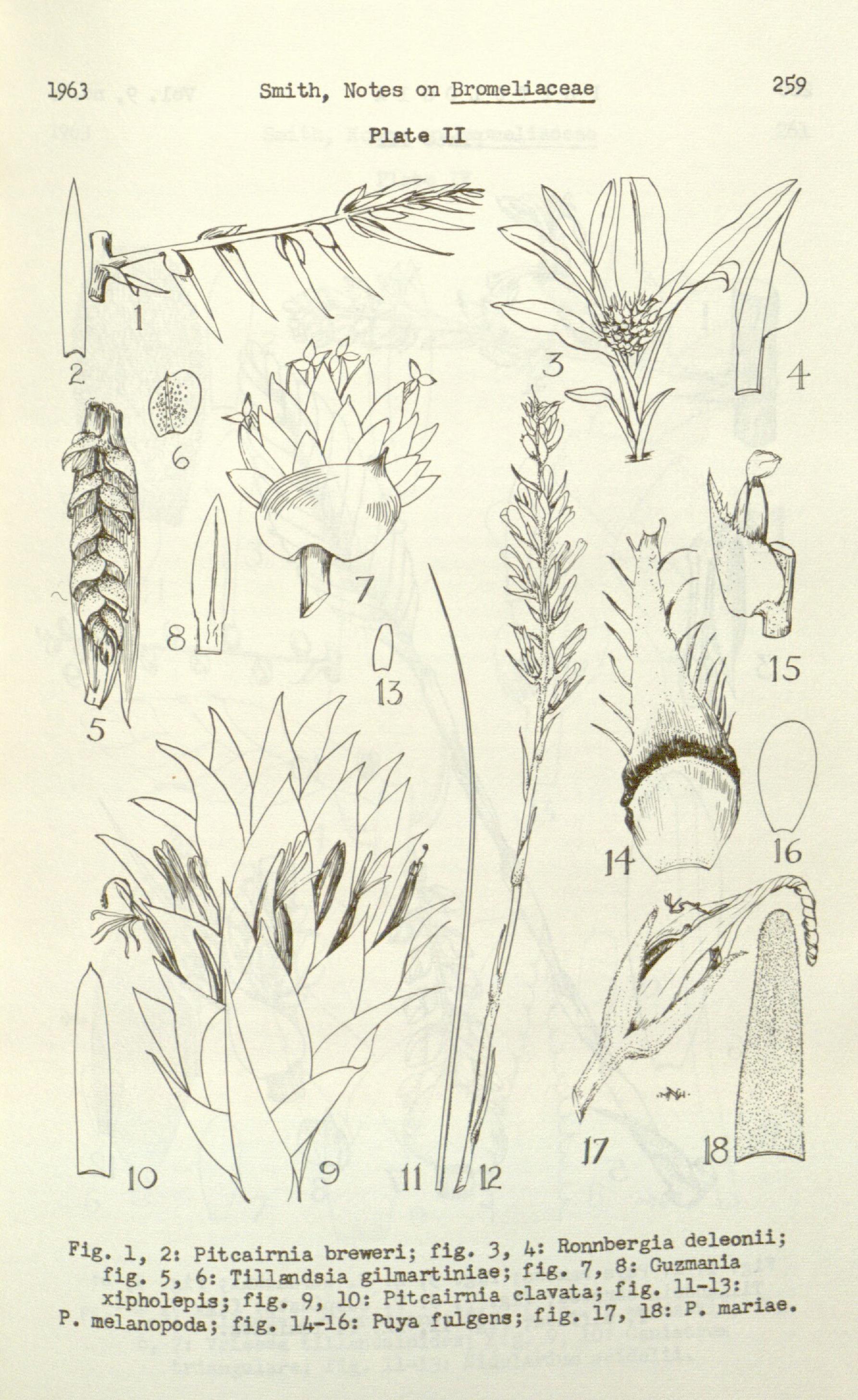 no full size  illustration available (3a)