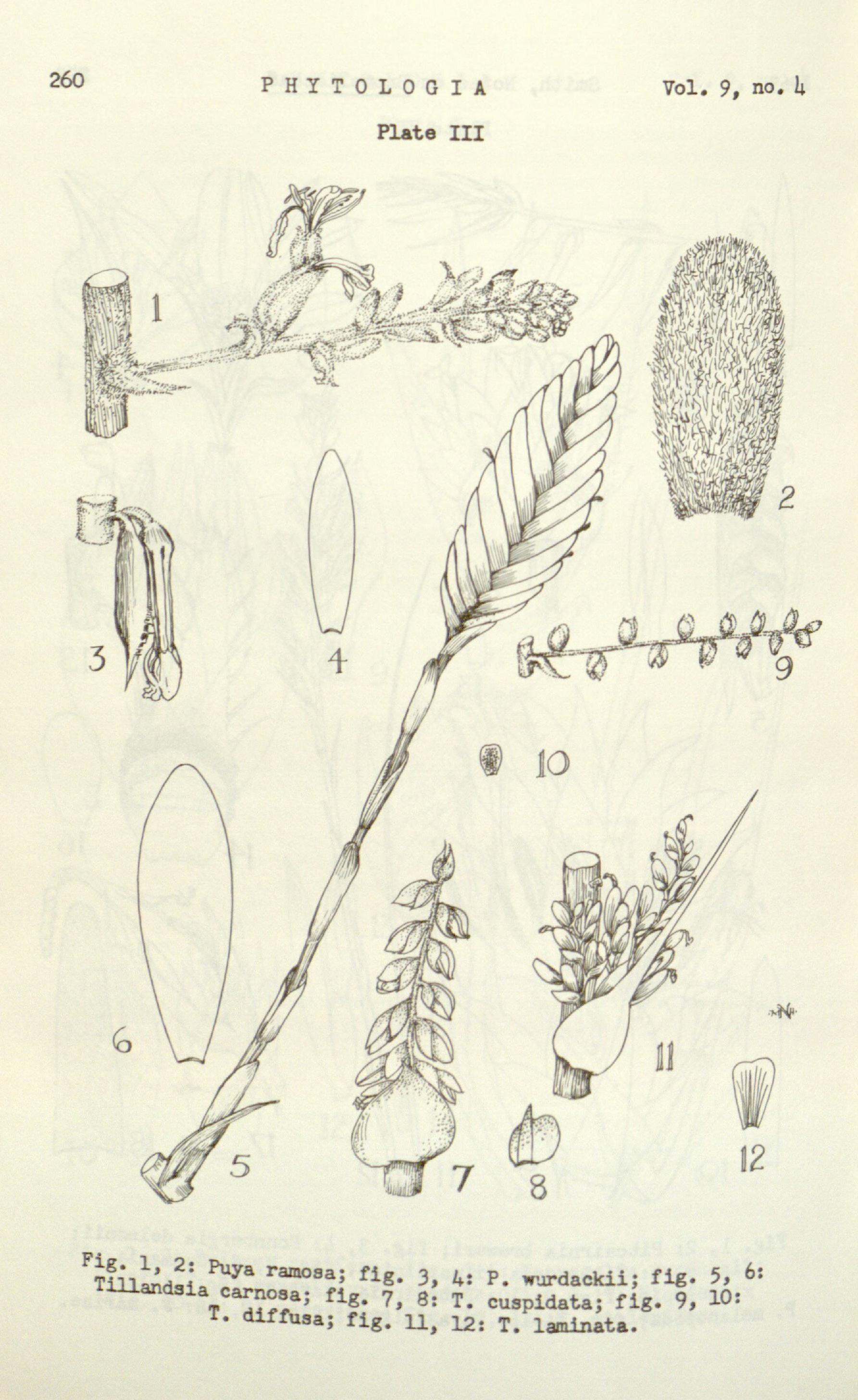 no full size  illustration available (3a)