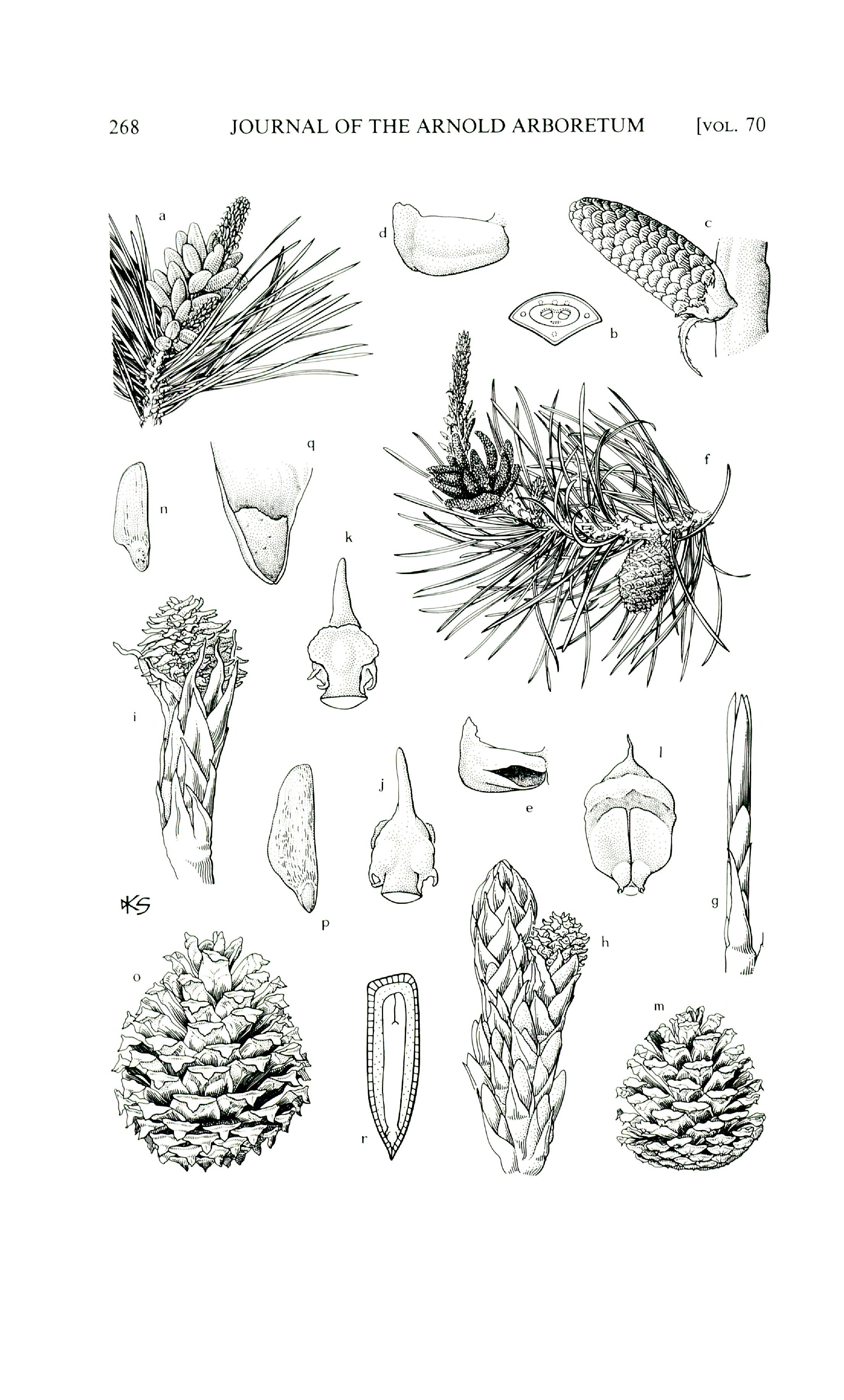 no full size  illustration available (3a)