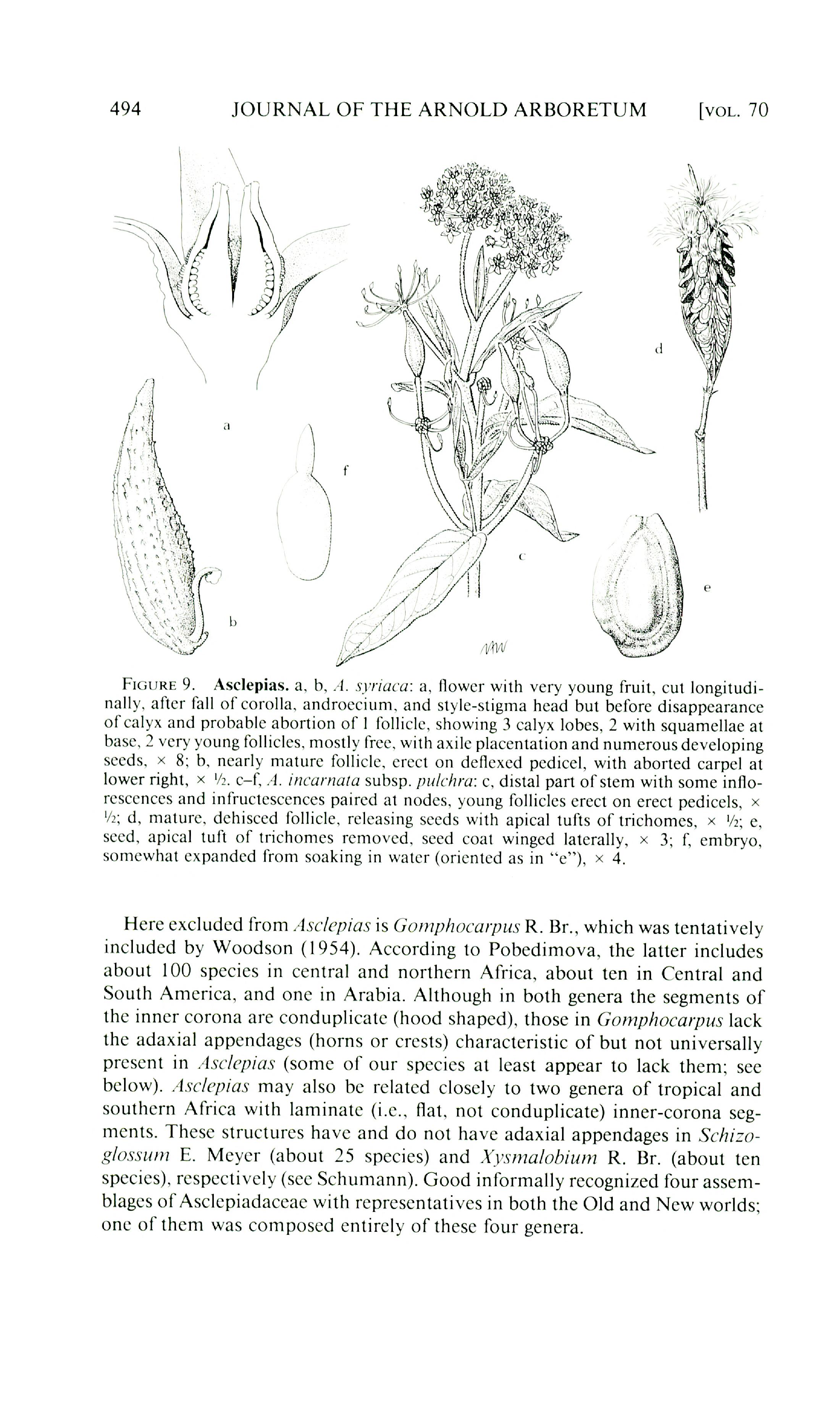 no full size  illustration available (3a)