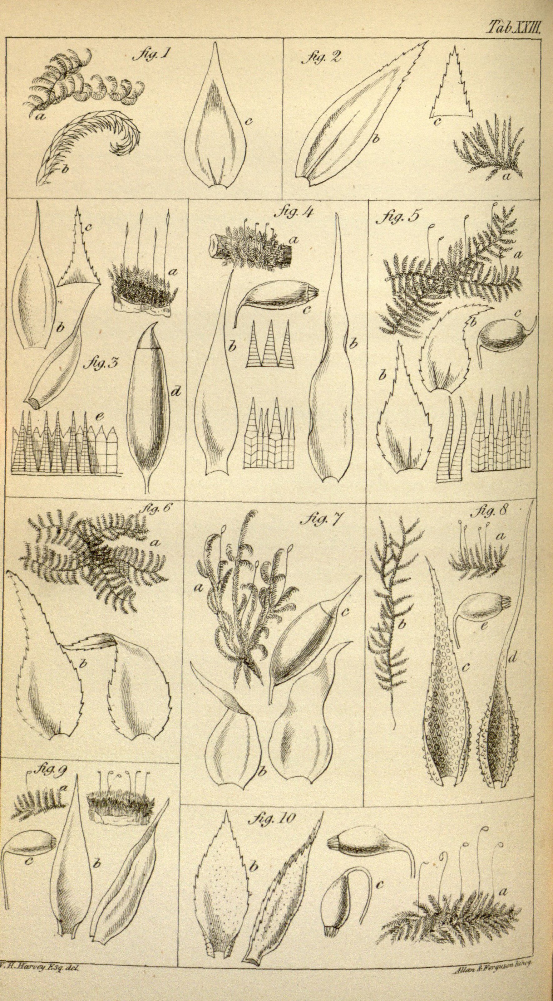 no full size  illustration available (3a)