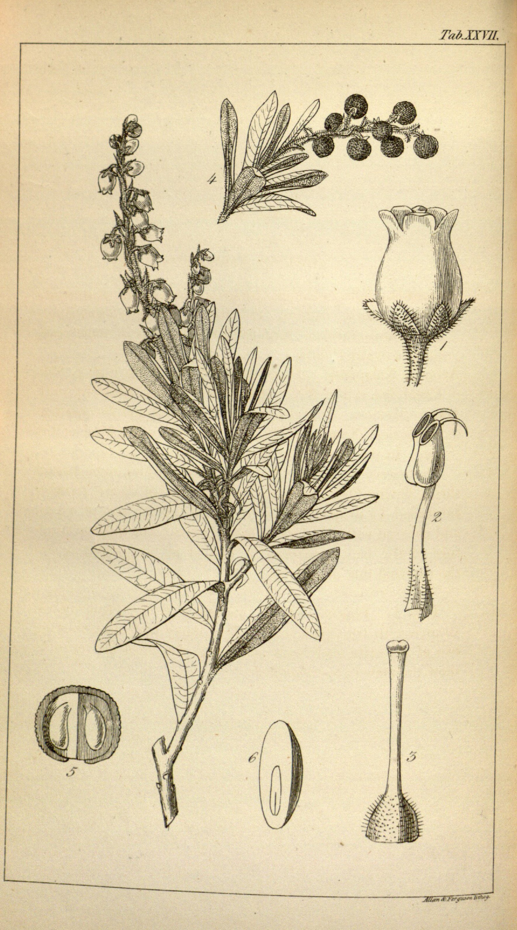 no full size  illustration available (3a)