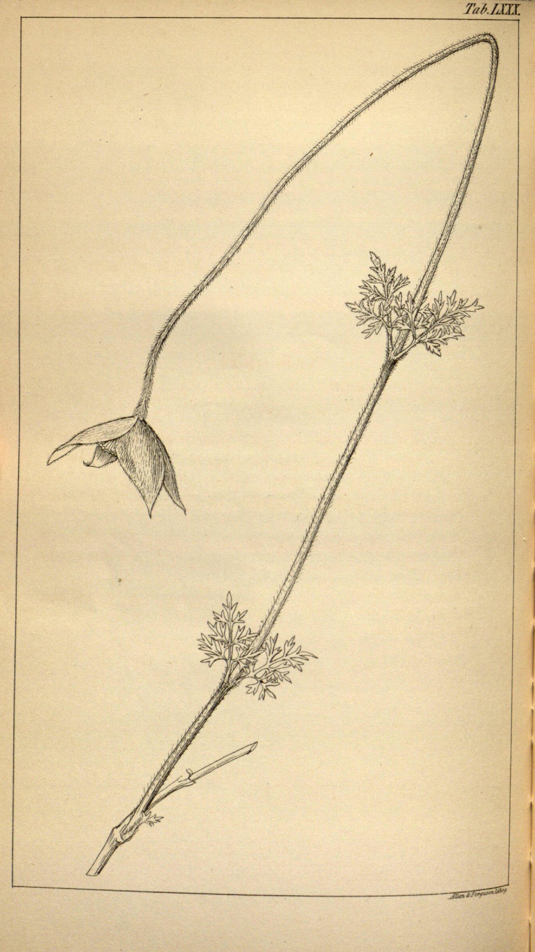 no full size  illustration available (3a)