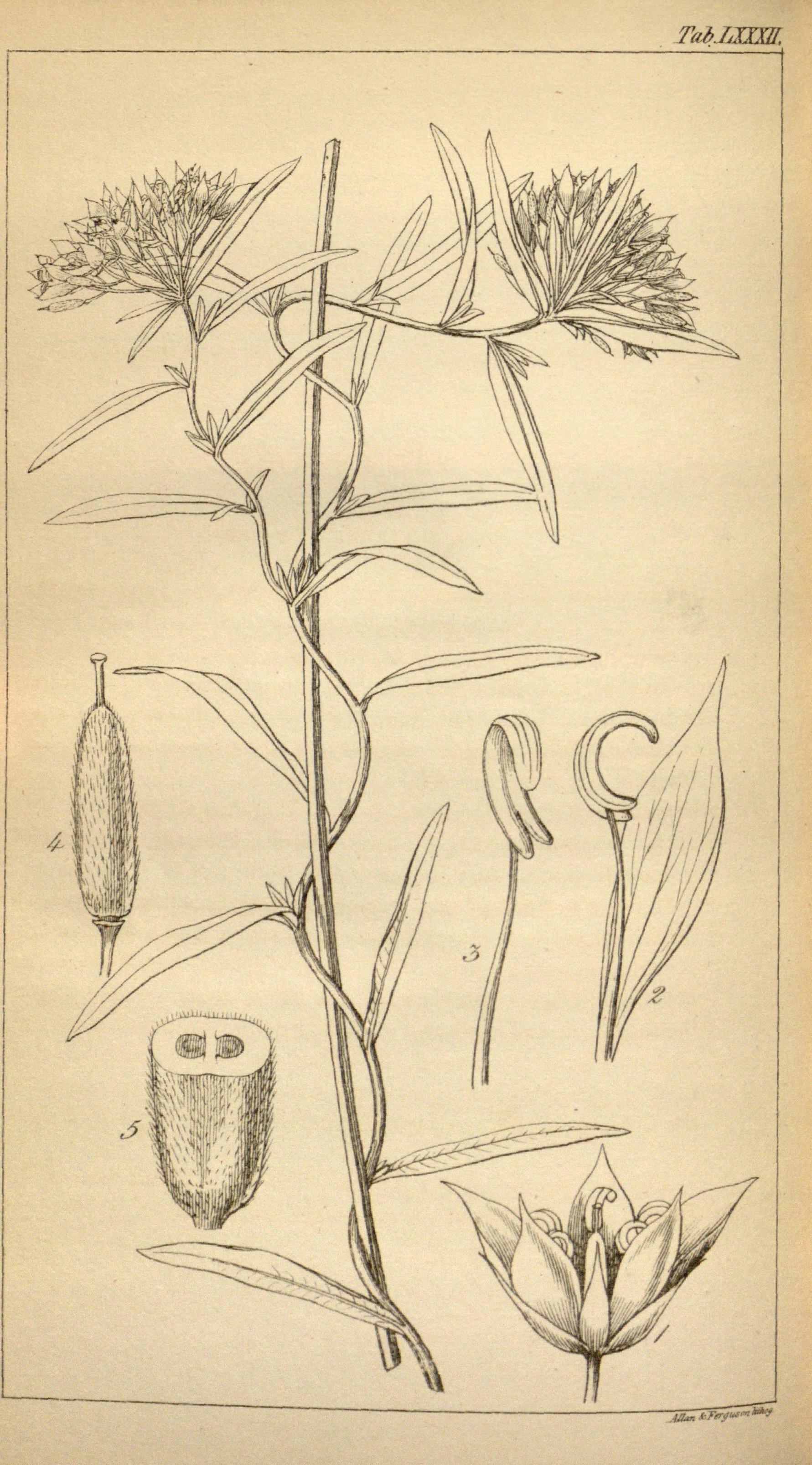 no full size  illustration available (3a)