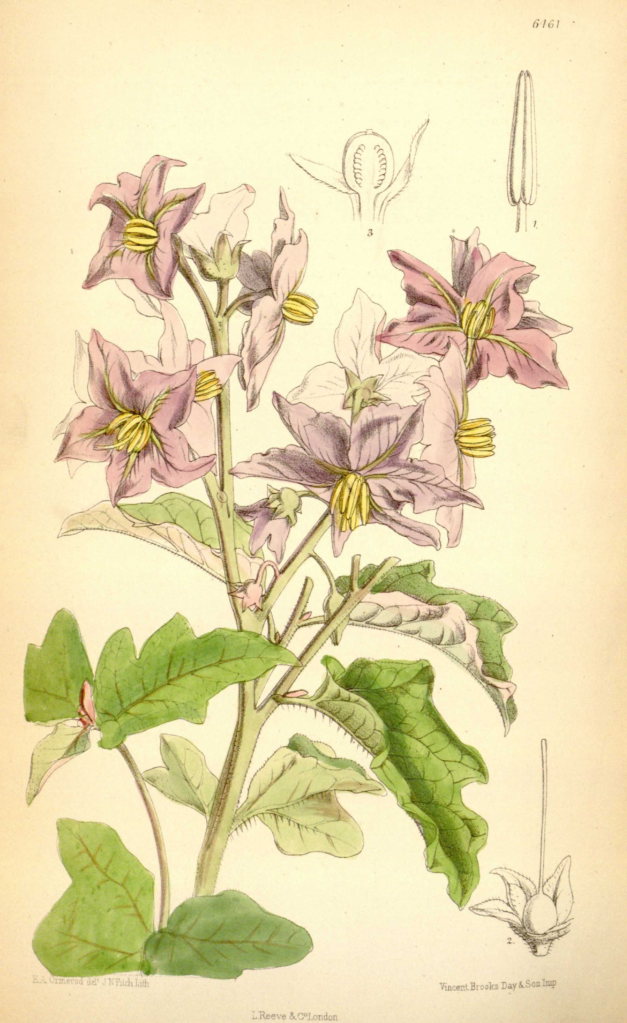 no full size  illustration available (3a)