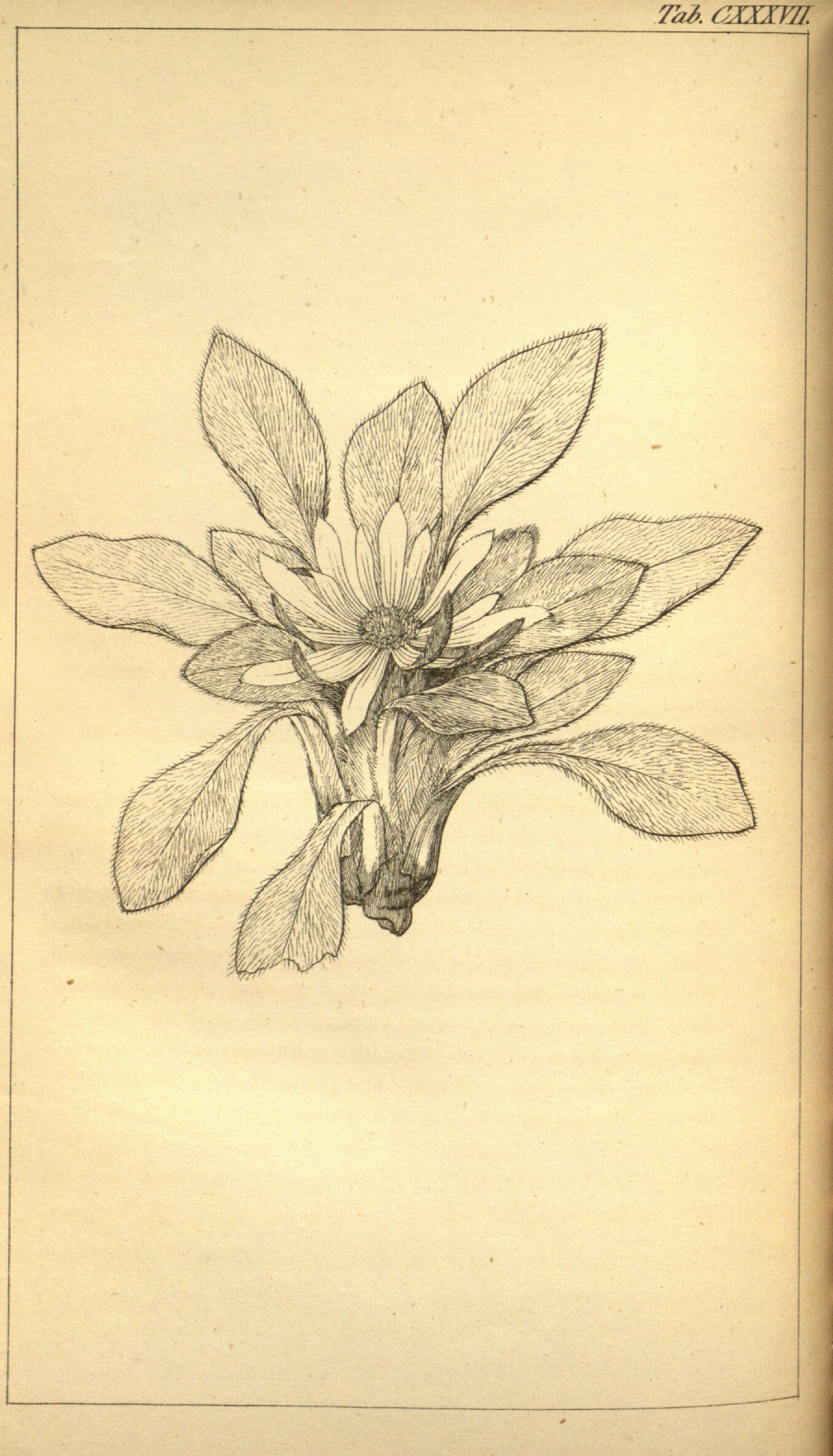 no full size  illustration available (3a)