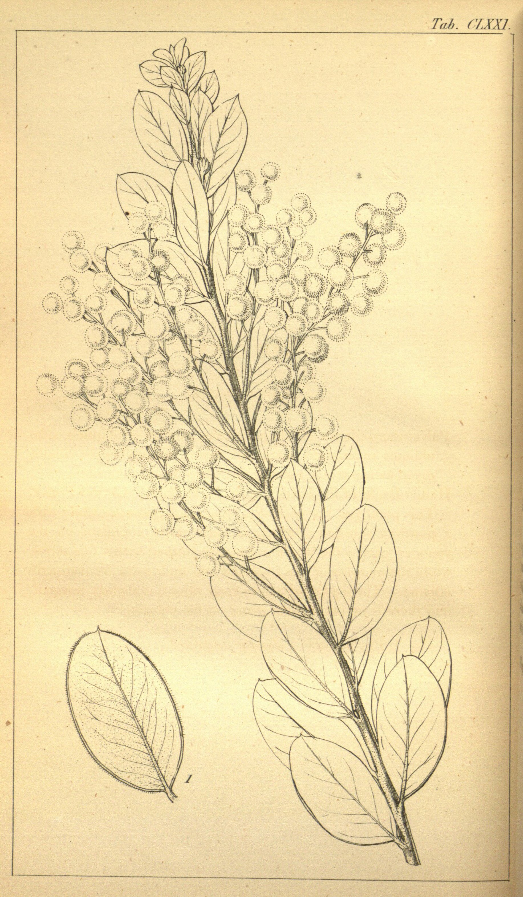 no full size  illustration available (3a)