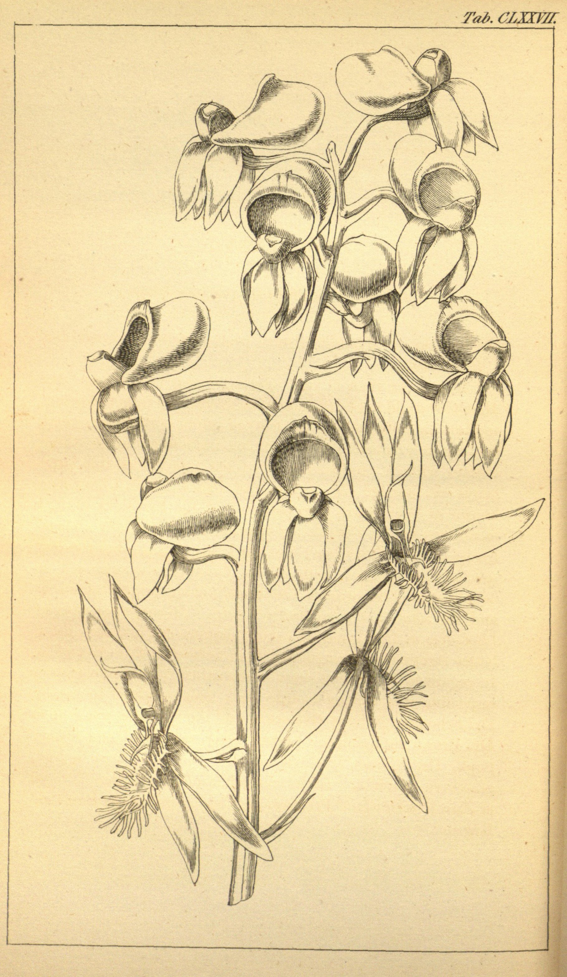 no full size  illustration available (3a)