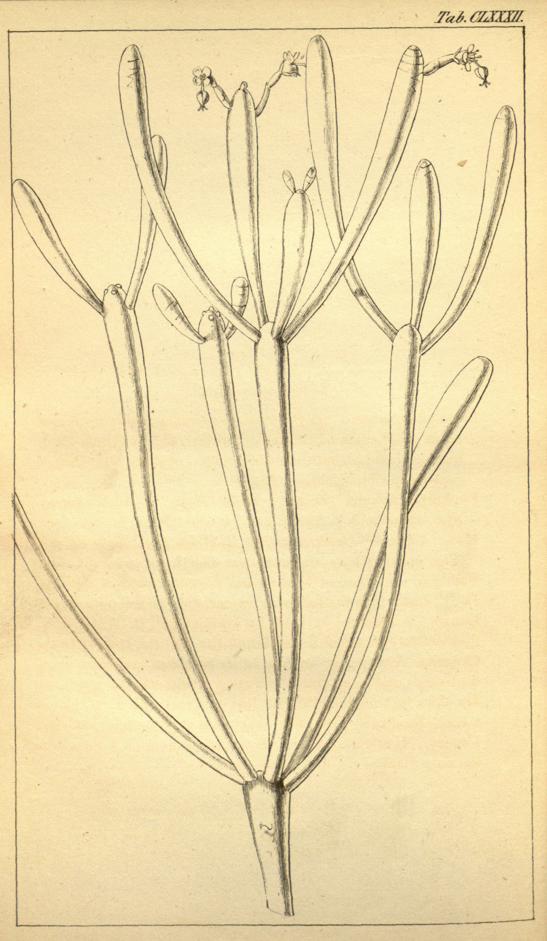 no full size  illustration available (3a)